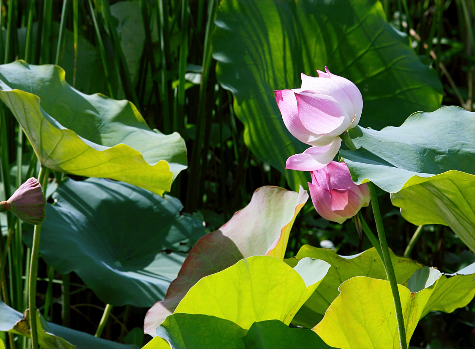 Canon EOS 6D sample photo