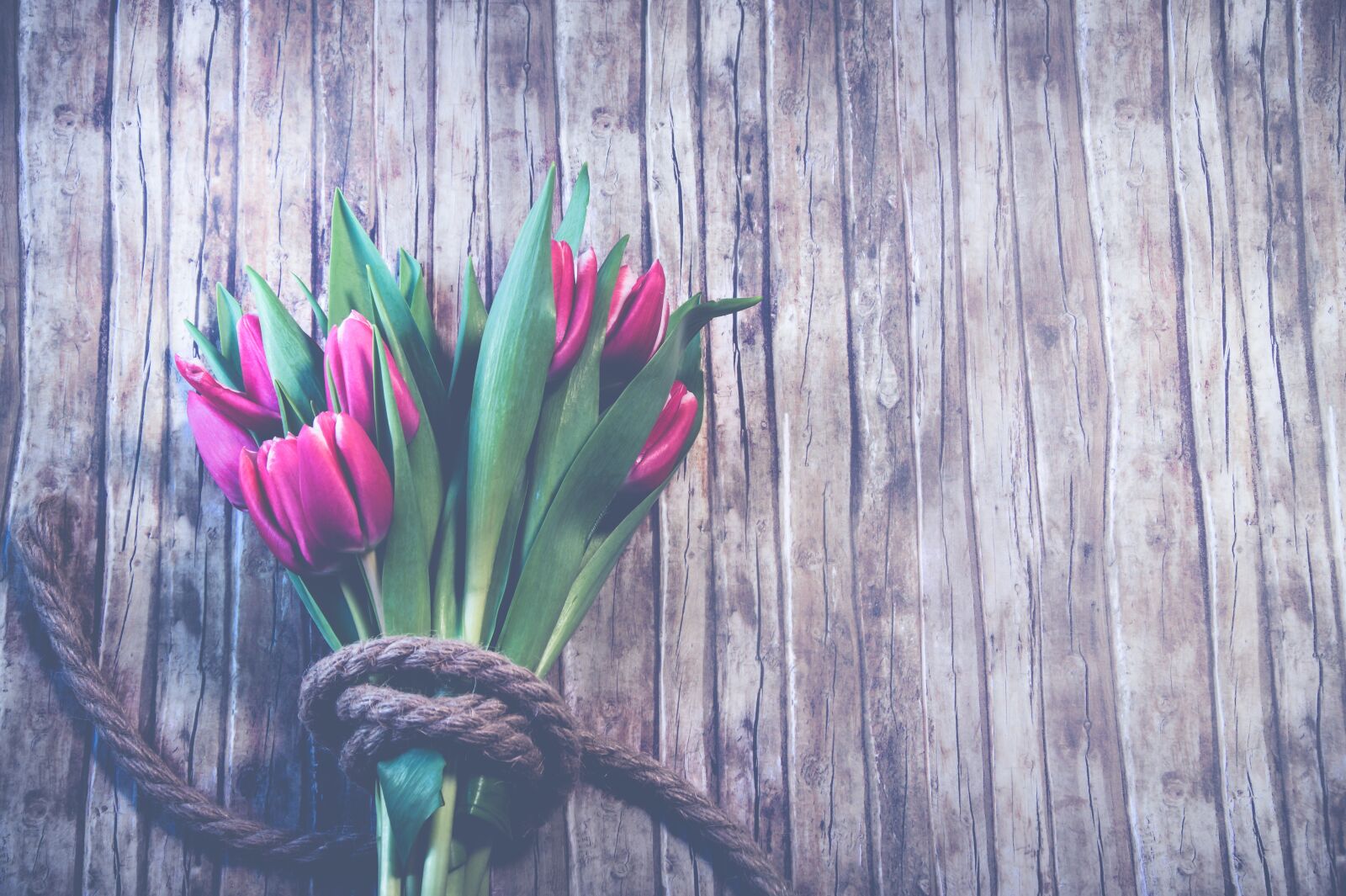 Sony SLT-A58 sample photo. Wood, wooden, desktop background photography