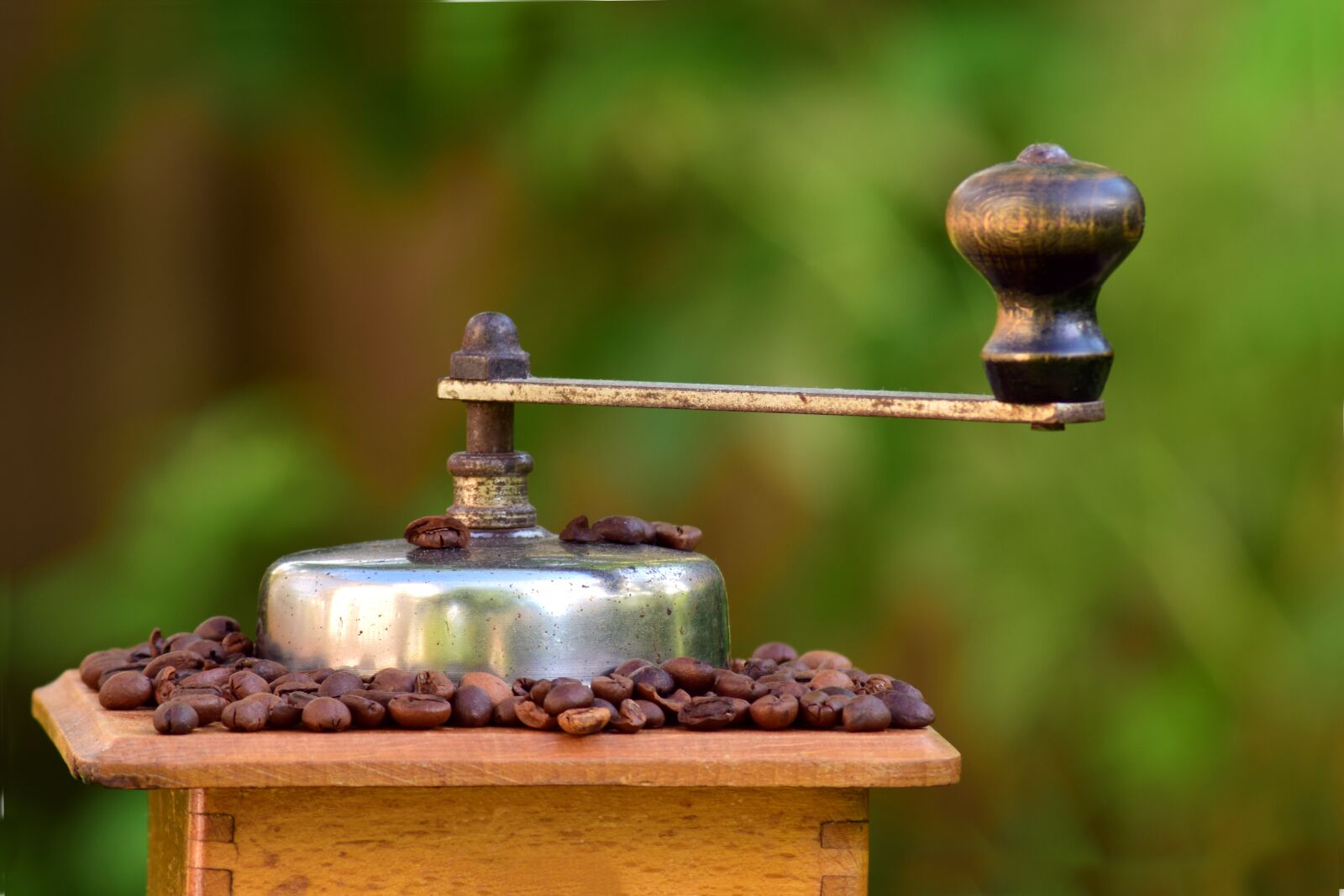 Nikon D3300 sample photo. Coffee, coffee grinder, mill photography