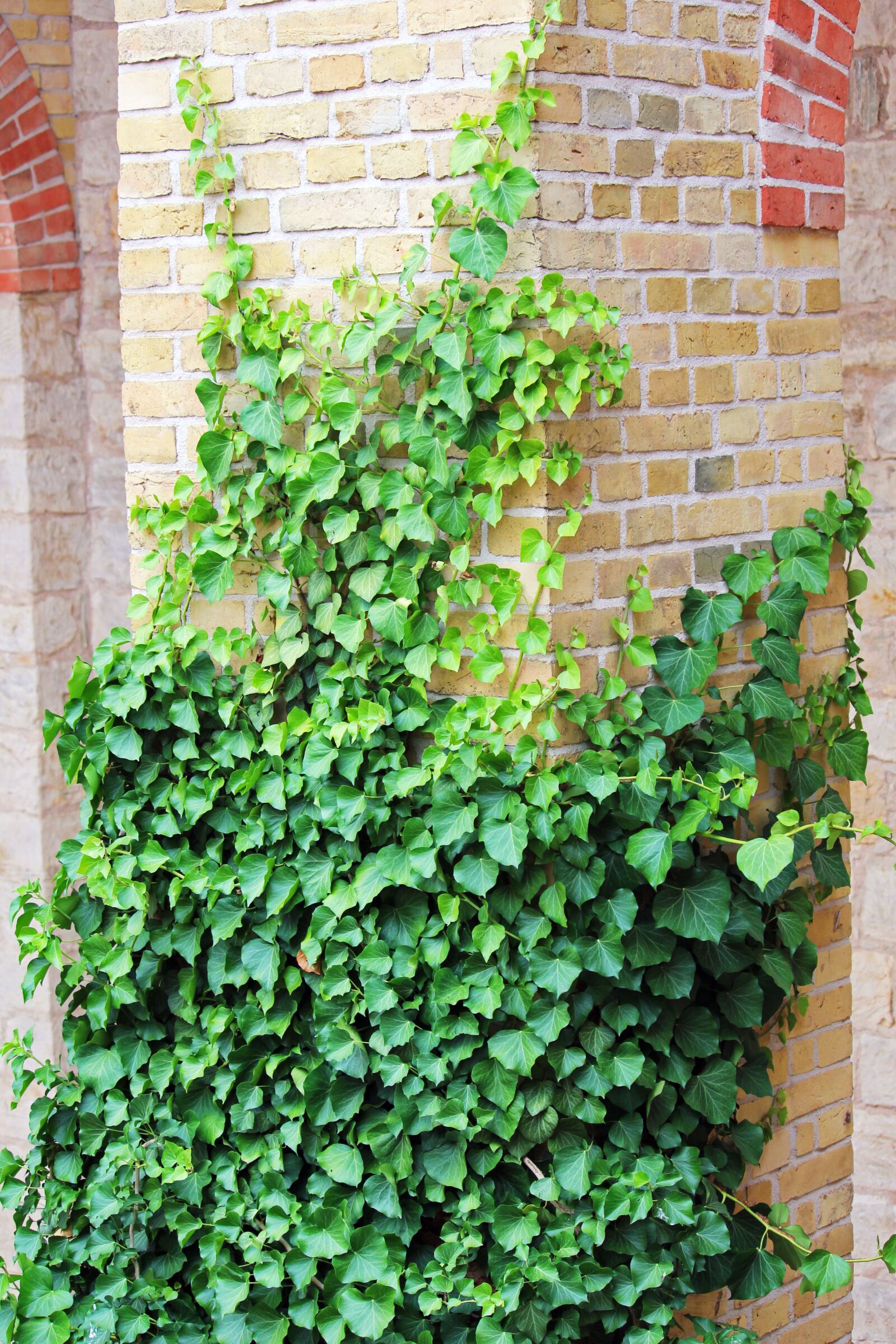 Canon EF-S 55-250mm F4-5.6 IS STM sample photo. Belvedere, pfingstberg, potsdam photography
