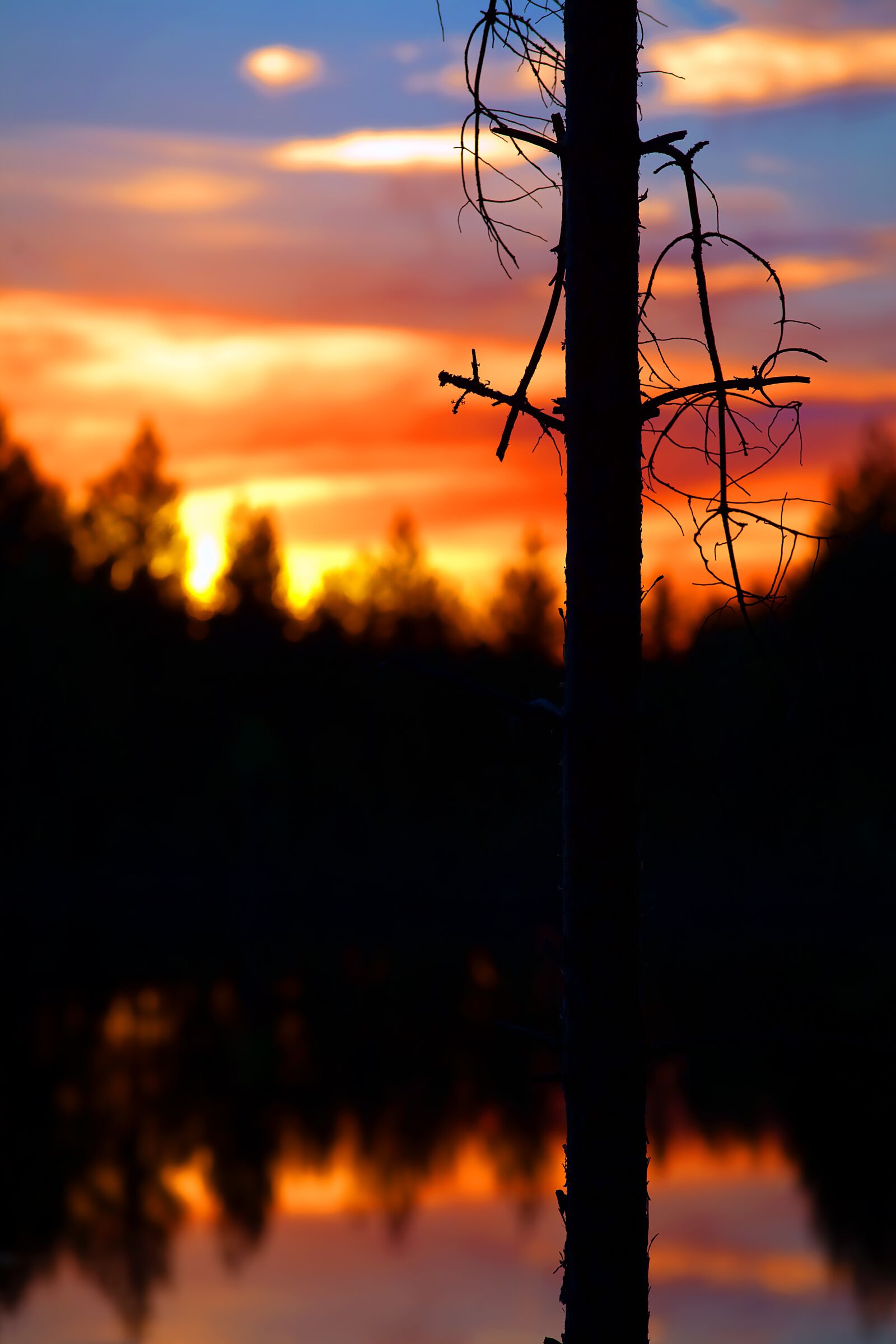 Canon EOS 5D Mark II sample photo. Dusk, water, reflection photography