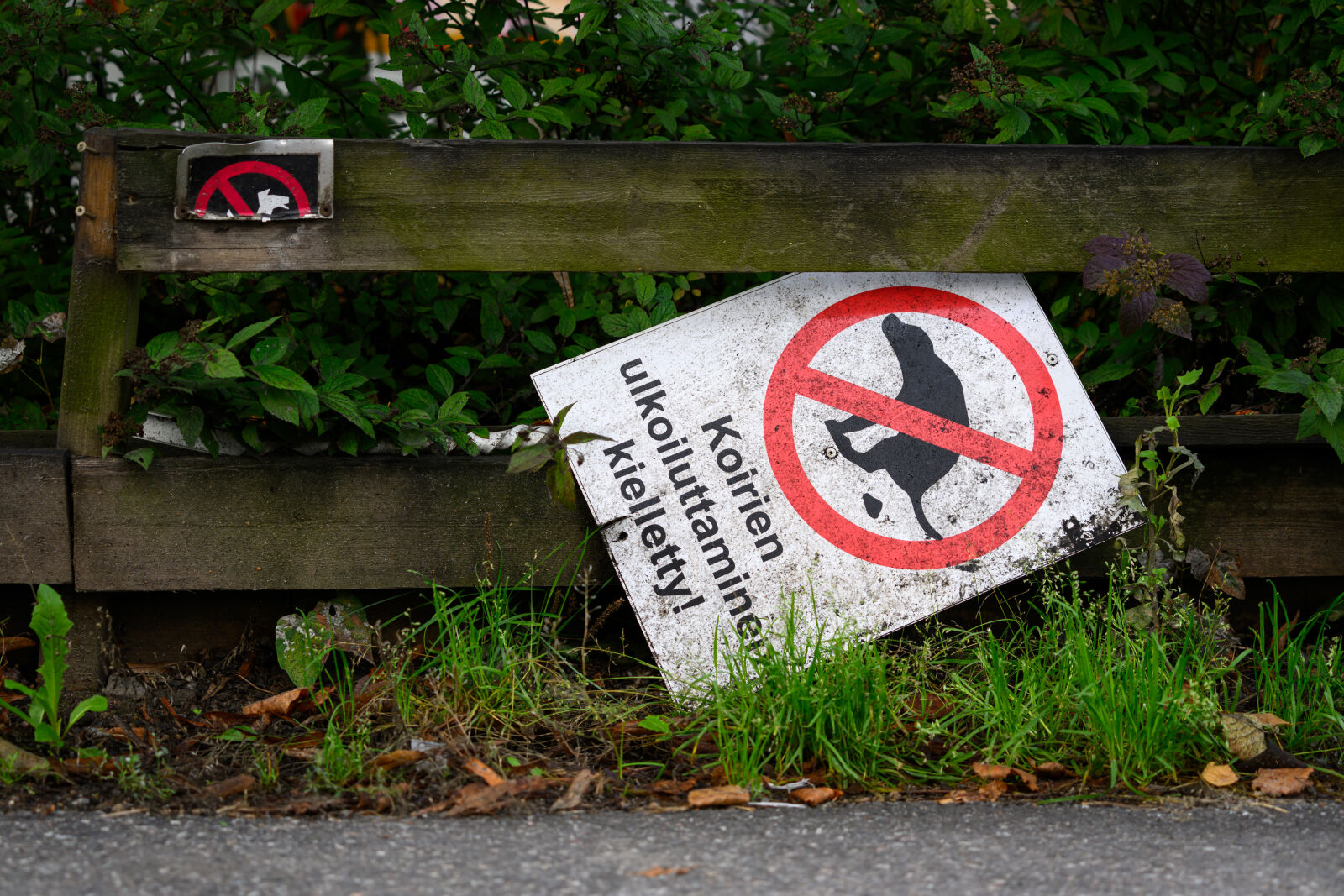 Nikon Z8 sample photo. Sign fell photography