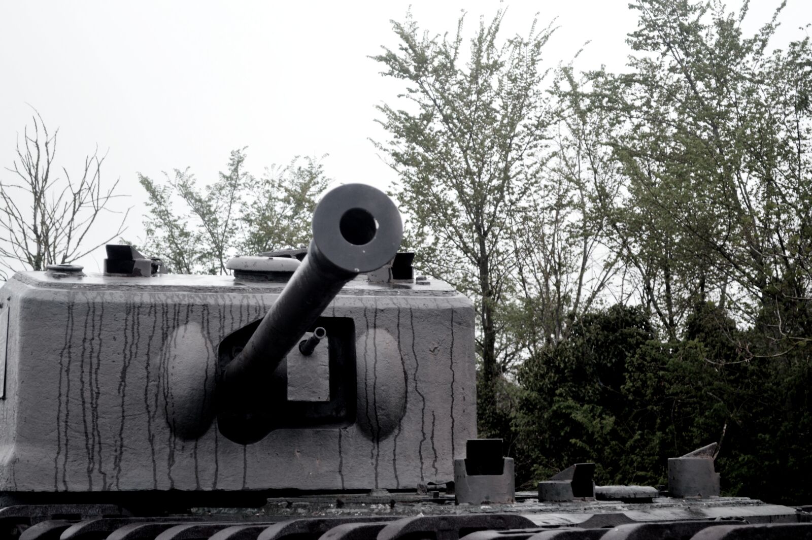 Nikon D3200 sample photo. Char, tank, old photography