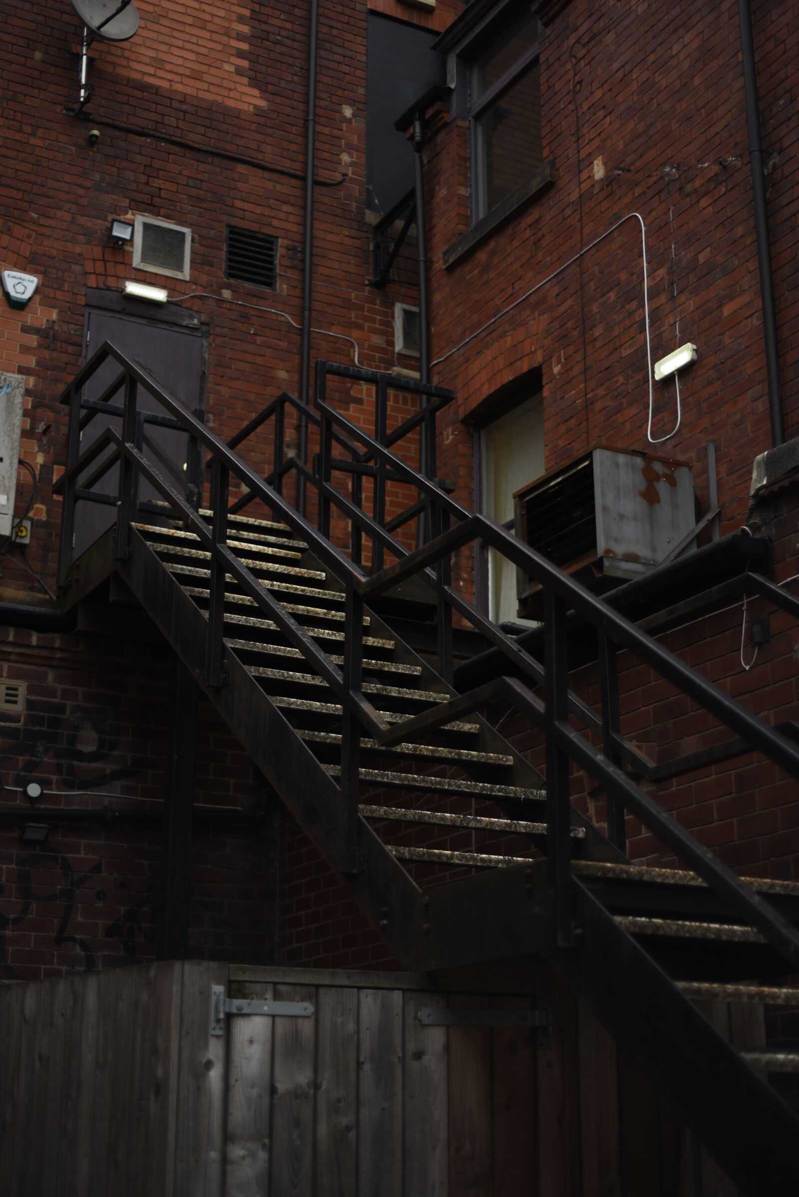 Nikon D750 sample photo