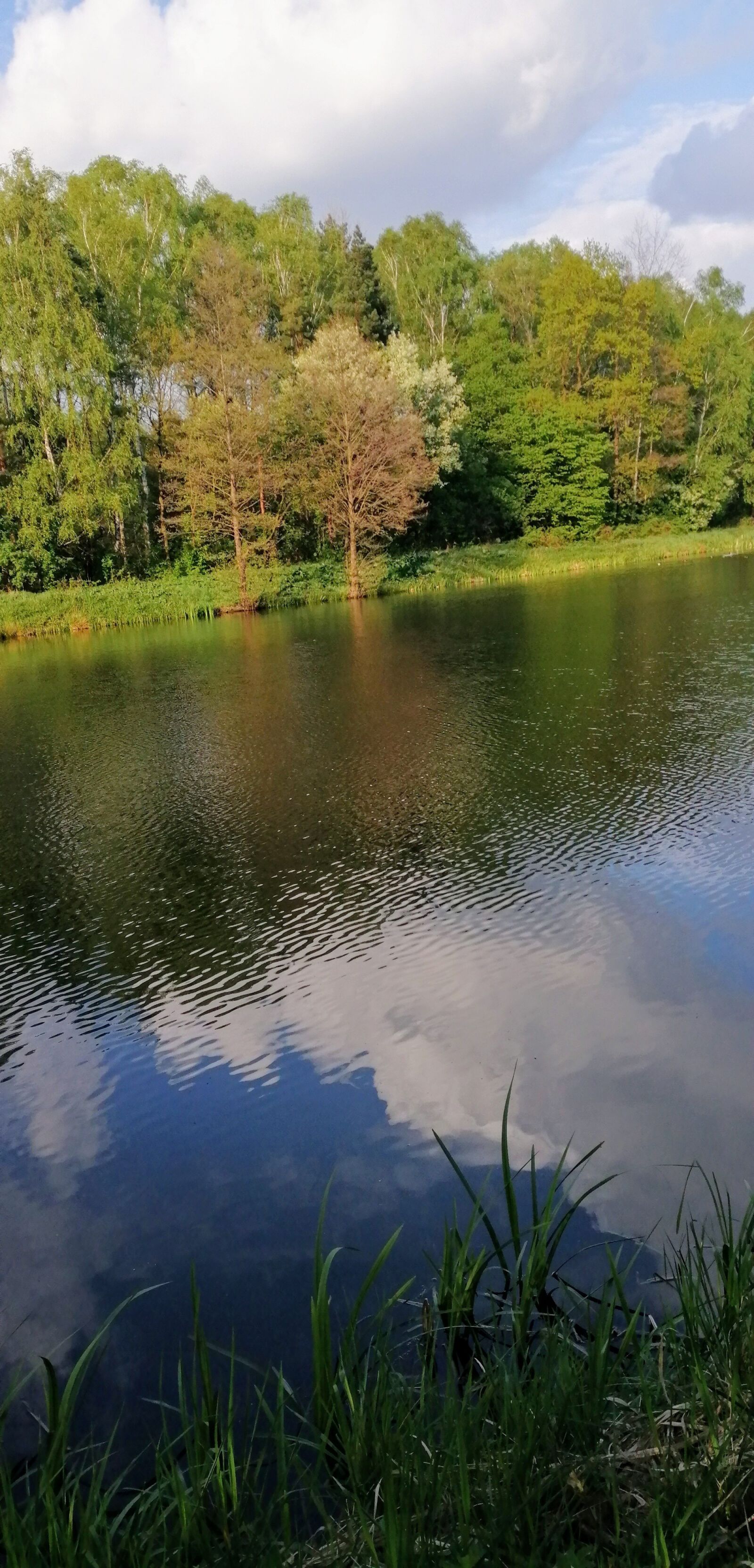 HUAWEI P SMART 2019 sample photo. Landscape, pond, park photography