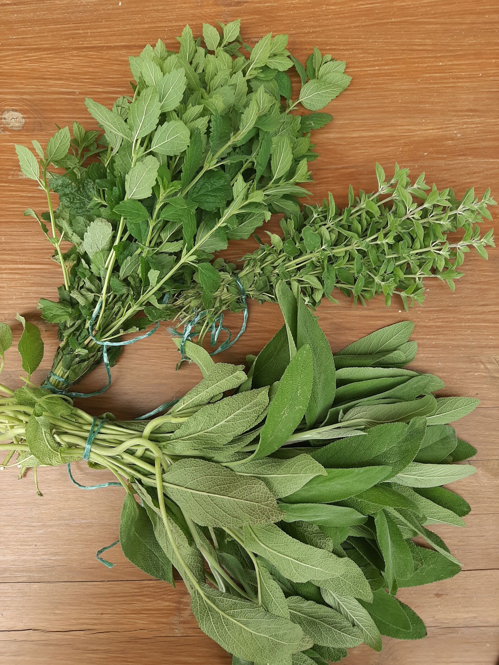 Samsung Galaxy A50 sample photo. Herbs, sage, oregano photography