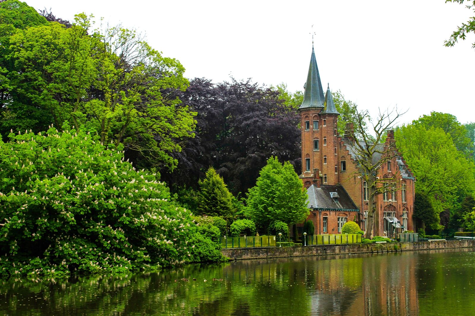 Canon EOS 600D (Rebel EOS T3i / EOS Kiss X5) sample photo. Holland, landscape, europe photography