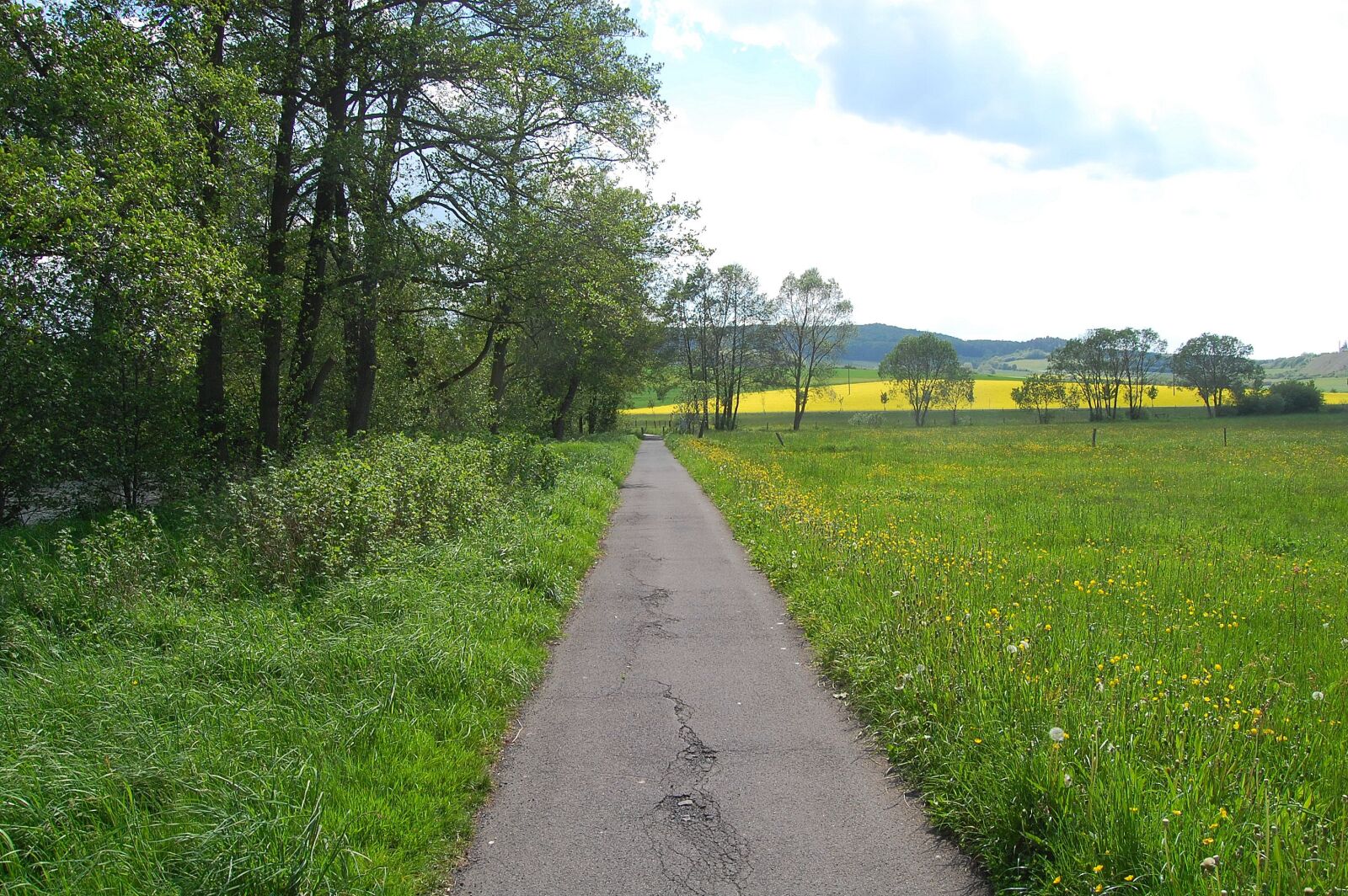 Nikon D40 sample photo. Away, nature, meadow photography