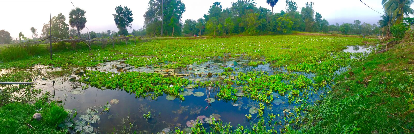 iPhone 6 Plus back camera 4.15mm f/2.2 sample photo. Rural, area photography