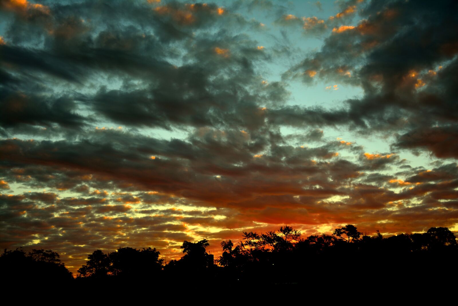 Nikon D7100 sample photo. Healing, glow, dreamlike photography