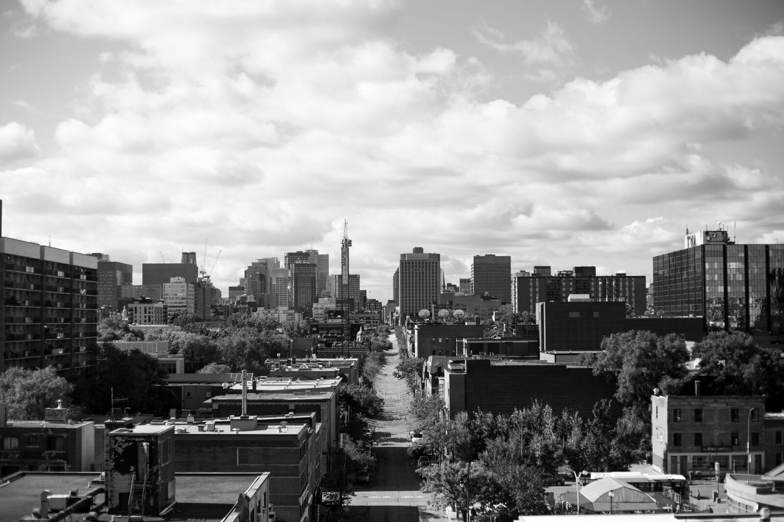 Canon EOS 6D + Canon EF 50mm F1.8 STM sample photo. Bridge, montreal, canada photography