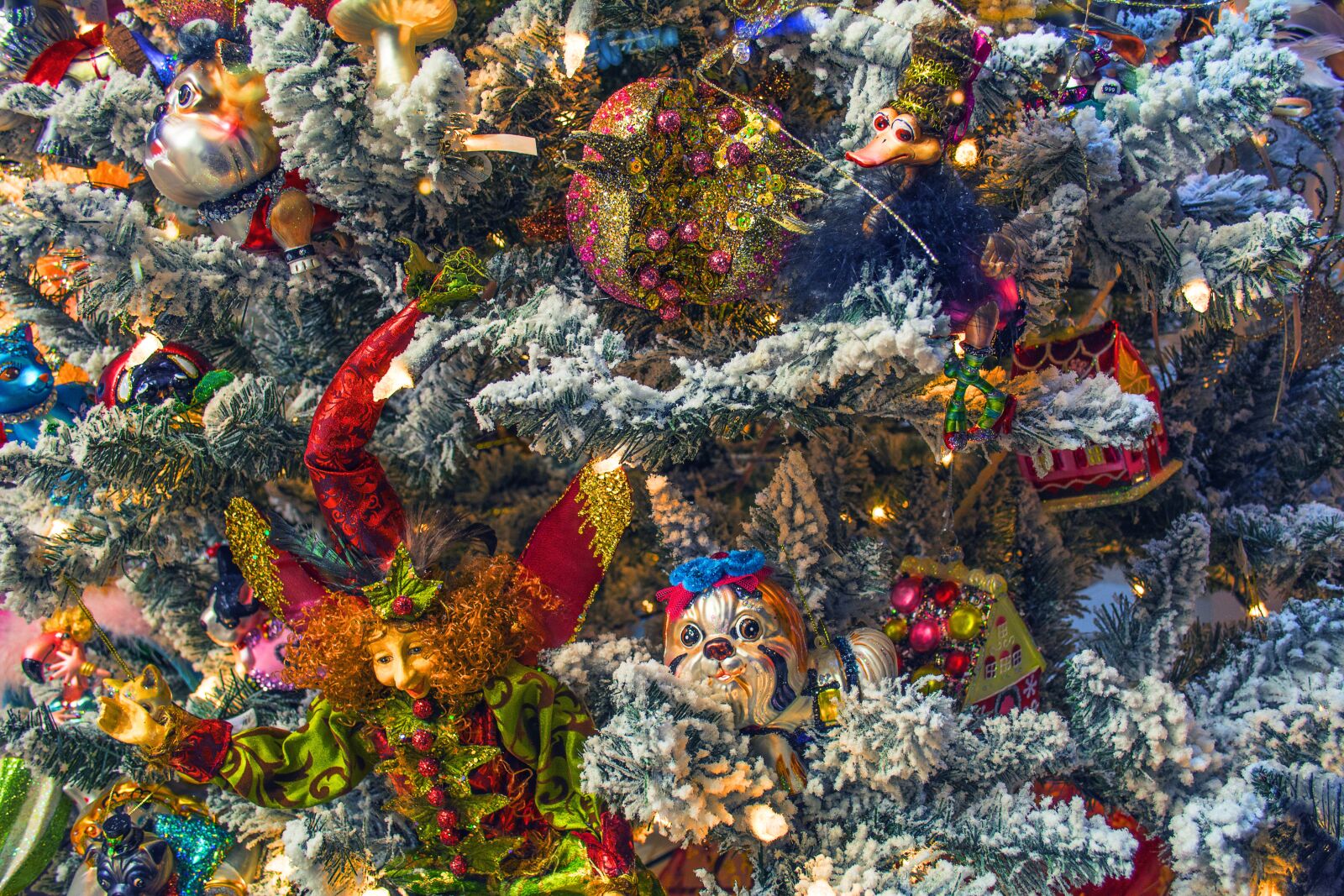 Nikon D5200 sample photo. Christmas, tree, fir photography