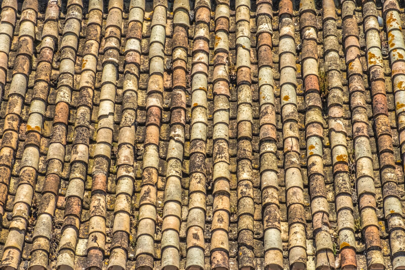 Fujifilm XF 18-55mm F2.8-4 R LM OIS sample photo. Roof, texas, andalusia photography