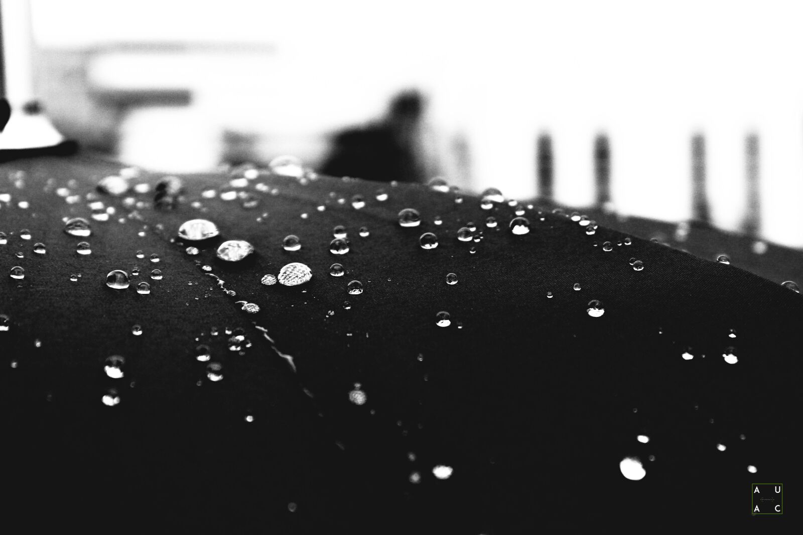 Canon EOS 1300D (EOS Rebel T6 / EOS Kiss X80) sample photo. Water, umbrella, rain photography