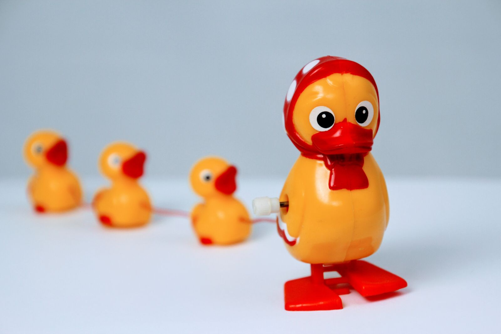 Canon EOS 60D sample photo. Duck, toys, lucky duck photography