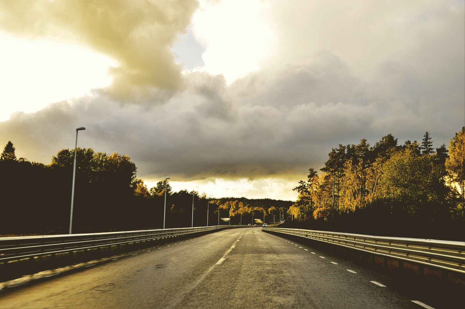 Nikon D3200 sample photo. Forest, highway, nature, outdoors photography