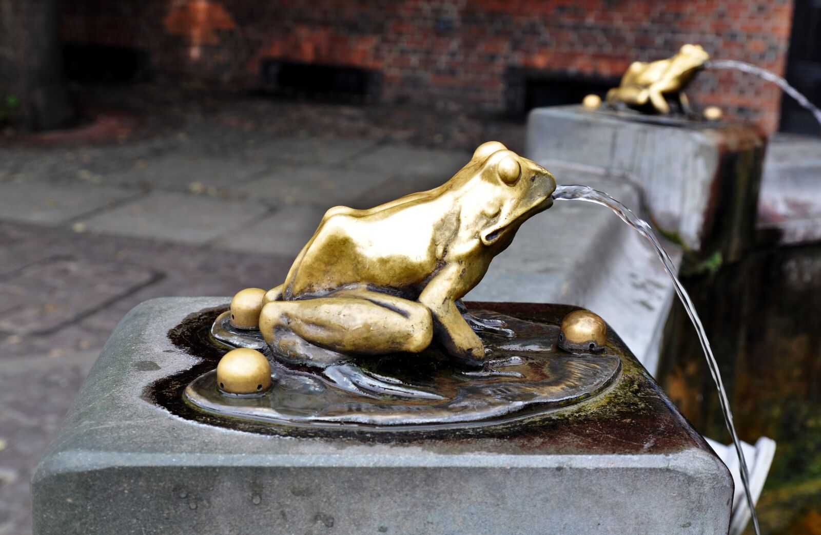 Nikon D5000 sample photo. The frog, sculpture, the photography
