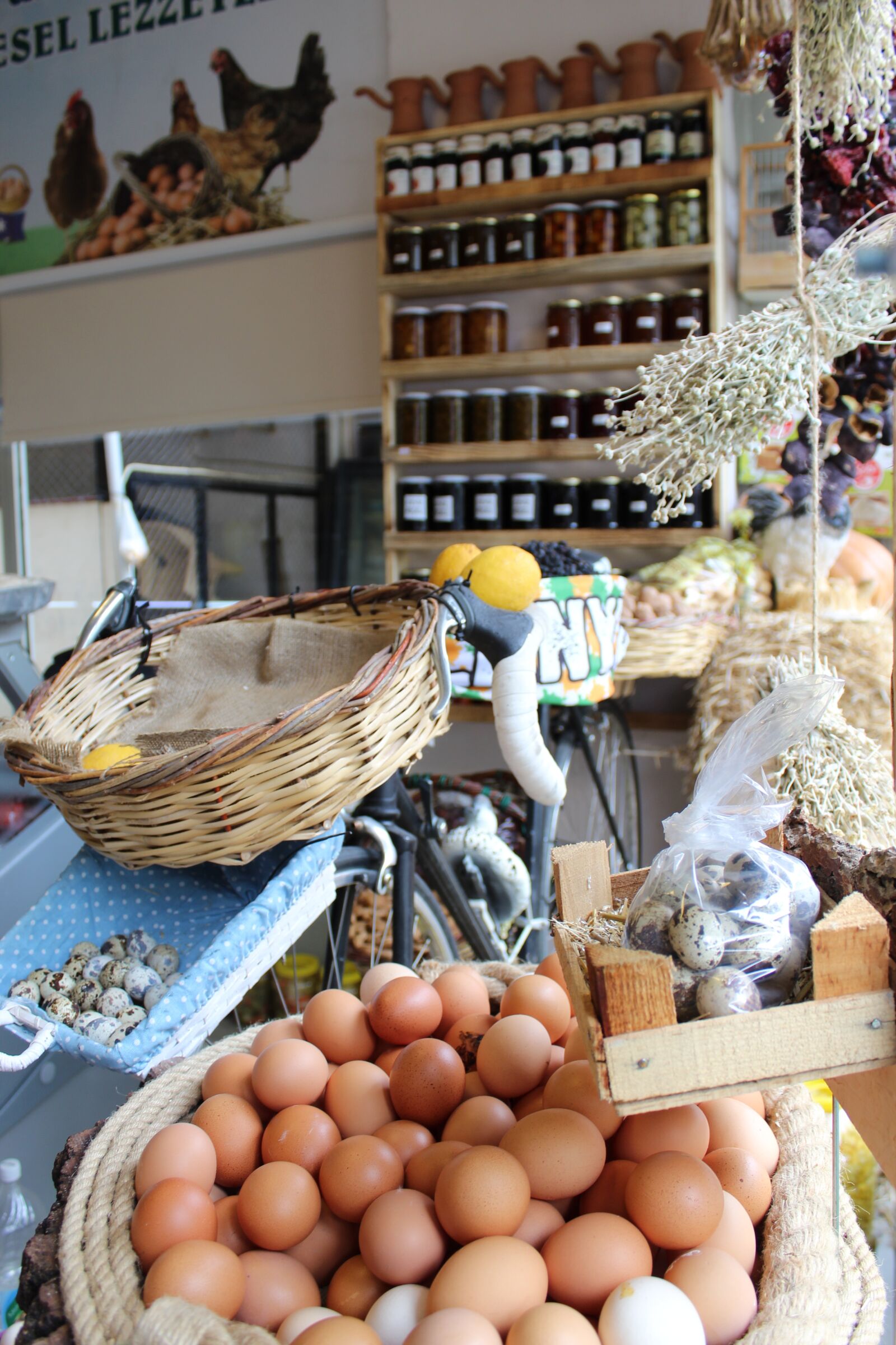 Canon EOS 1200D (EOS Rebel T5 / EOS Kiss X70 / EOS Hi) sample photo. Egg, department, organic photography