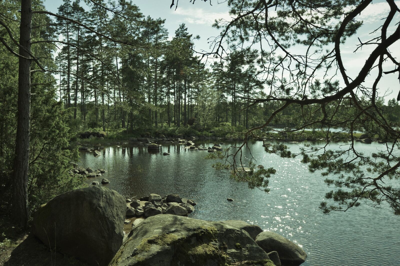 Nikon D3200 sample photo. Water, lake, sweden photography