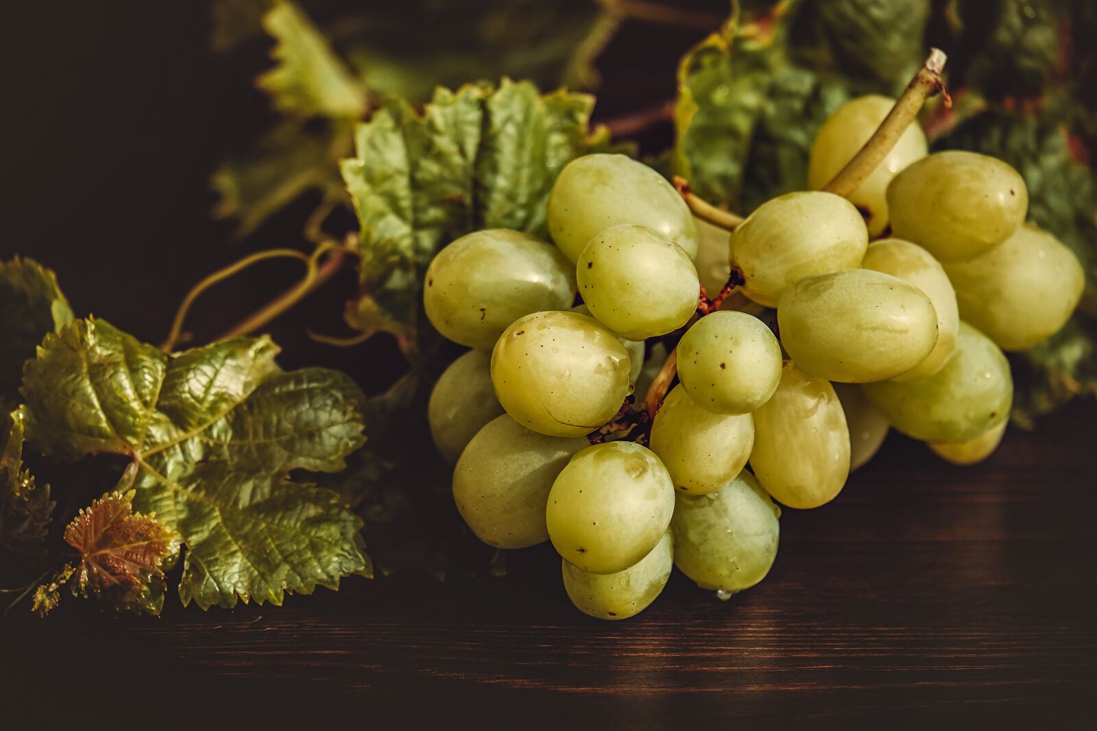 Fujifilm XF 55-200mm F3.5-4.8 R LM OIS sample photo. Grapes, fruit, green photography