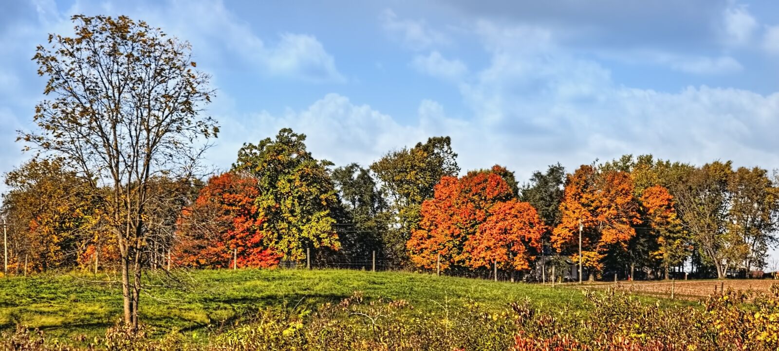 Canon EOS 5D Mark II sample photo. Scenery, farmland, countryside photography