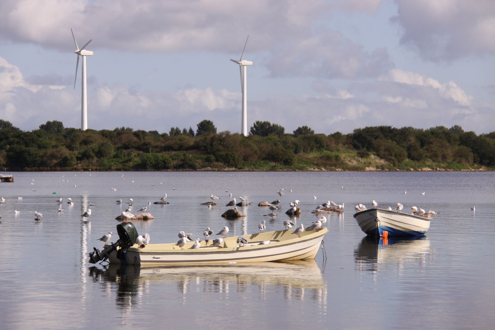 Canon EOS 50D sample photo. Both, mooring, bay photography