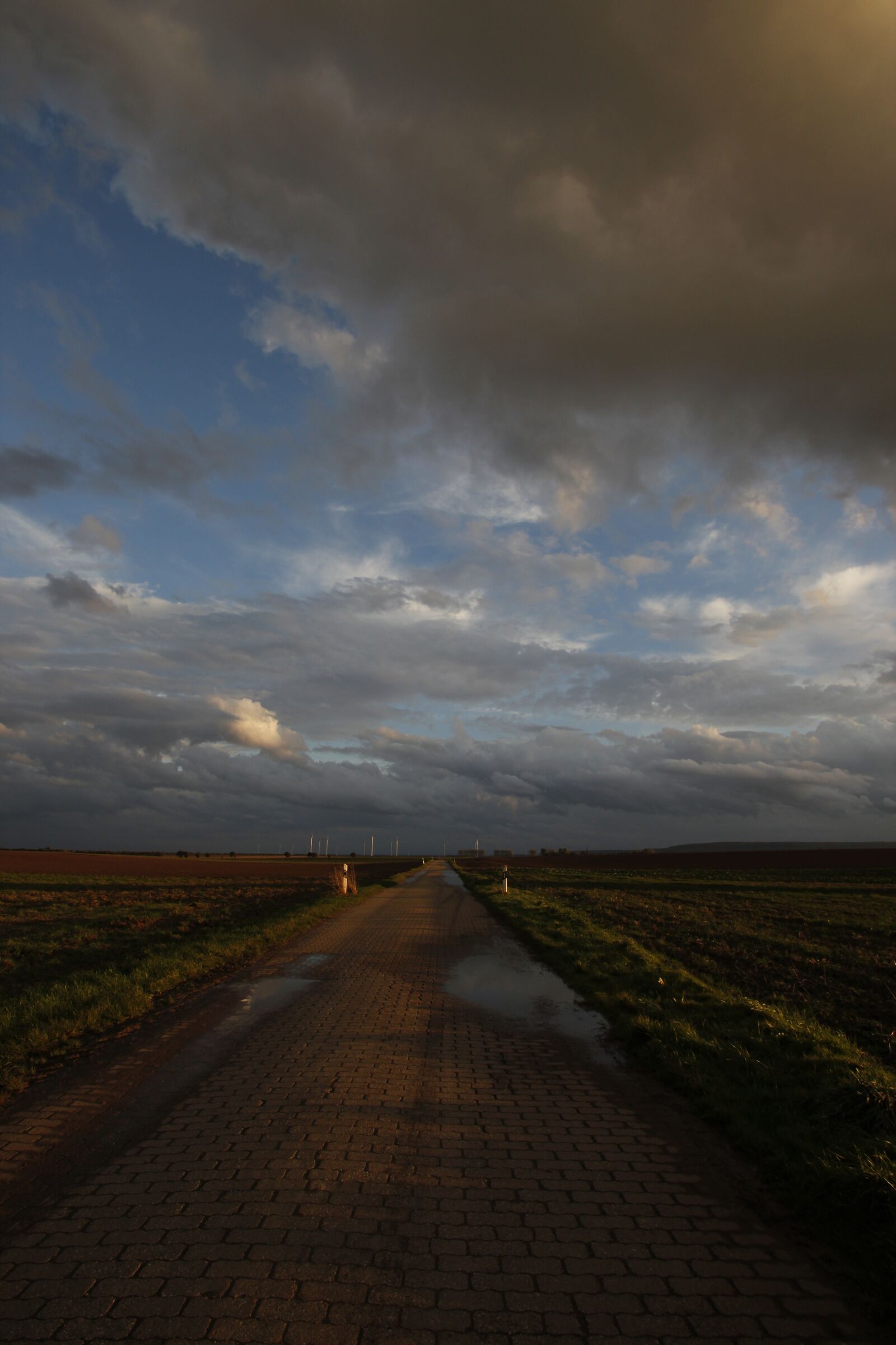 Canon EOS 600D (Rebel EOS T3i / EOS Kiss X5) sample photo. Road, away photography