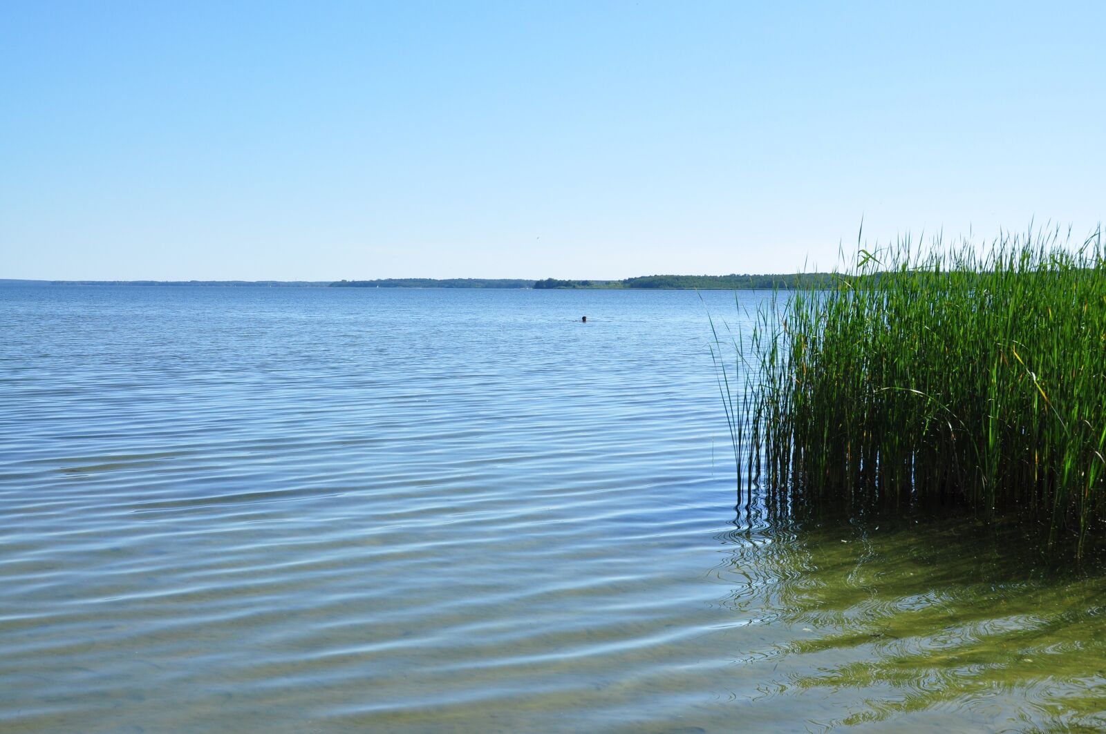 Nikon D90 sample photo. Plauer see, water, nature photography