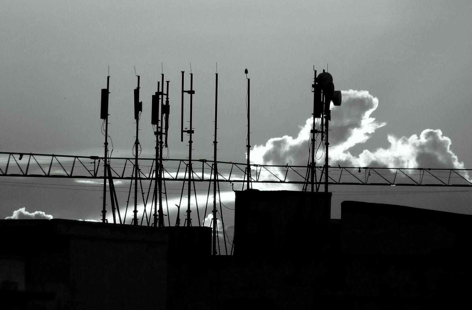 Sony Cyber-shot DSC-HX9V sample photo. Low, angle, view, of photography