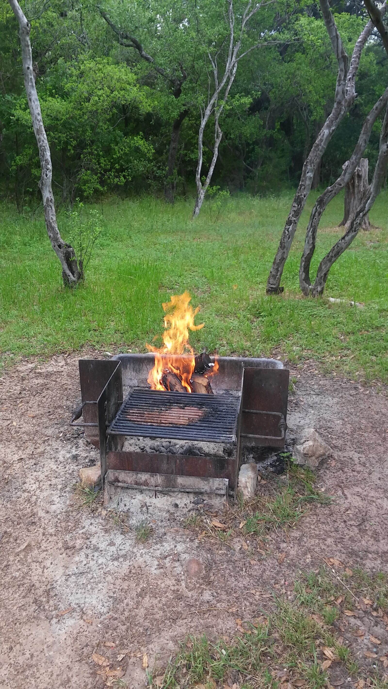 LG G STYLO sample photo. Campfire, nature, trees photography