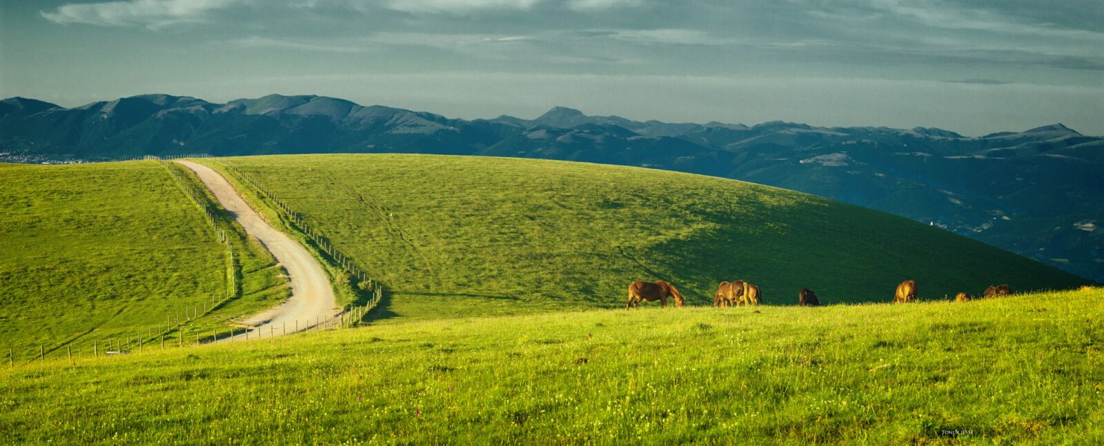 Canon EOS 600D (Rebel EOS T3i / EOS Kiss X5) sample photo. Umbria, italy, monte subasio photography