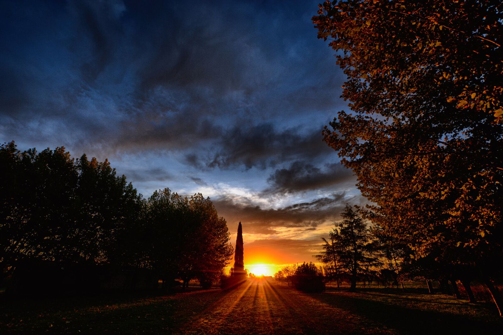 Nikon D5200 sample photo. Sunset, tree, outdoors photography