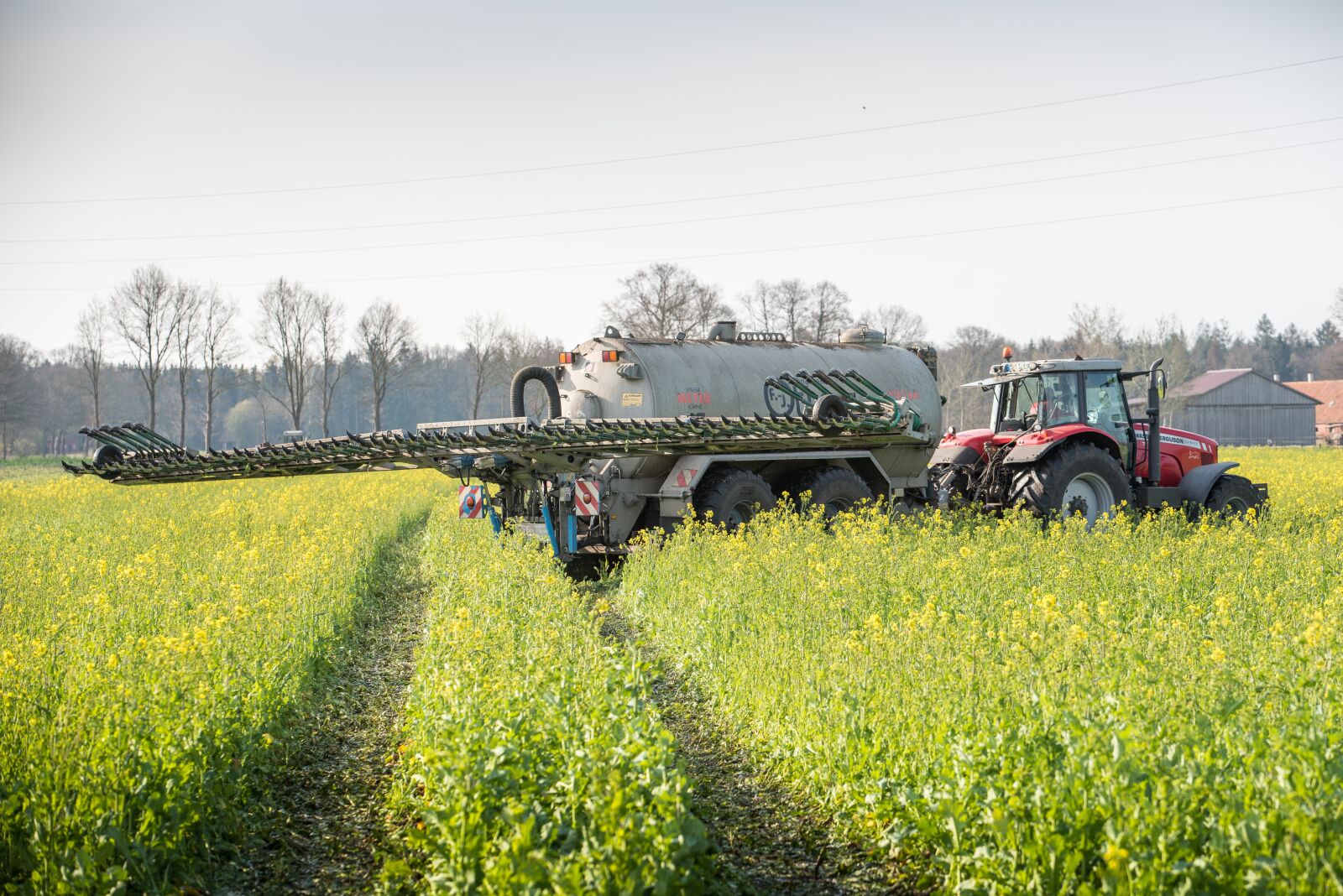 Nikon D750 sample photo. Catch crop, oilseed rape photography