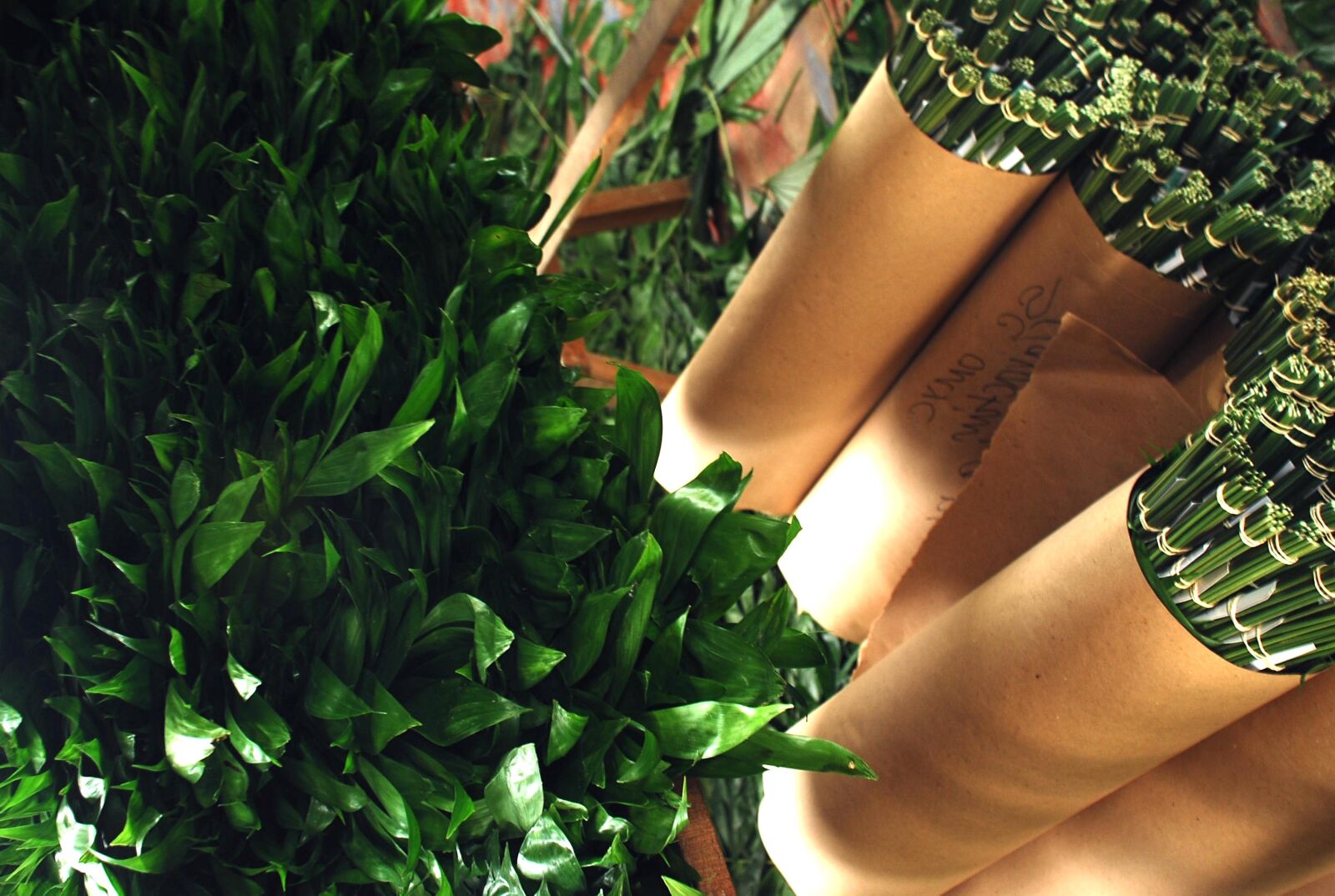 Nikon D80 sample photo. Sustainable, extraction, xate photography