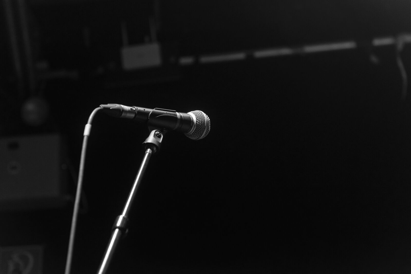 Nikon D800E sample photo. Music, microphone, stage photography