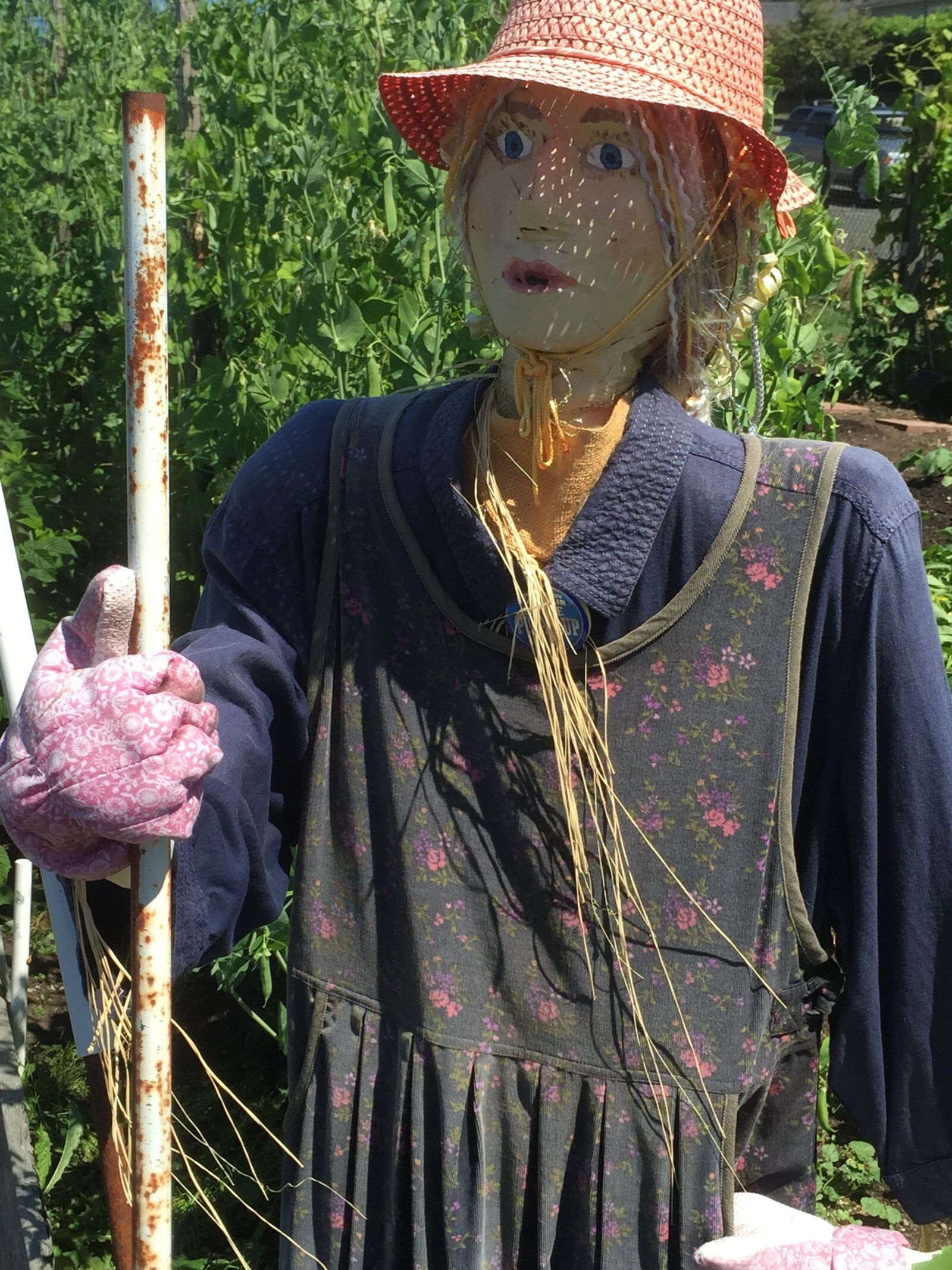 Apple iPhone 6 sample photo. Scarecrow, garden, gardening photography