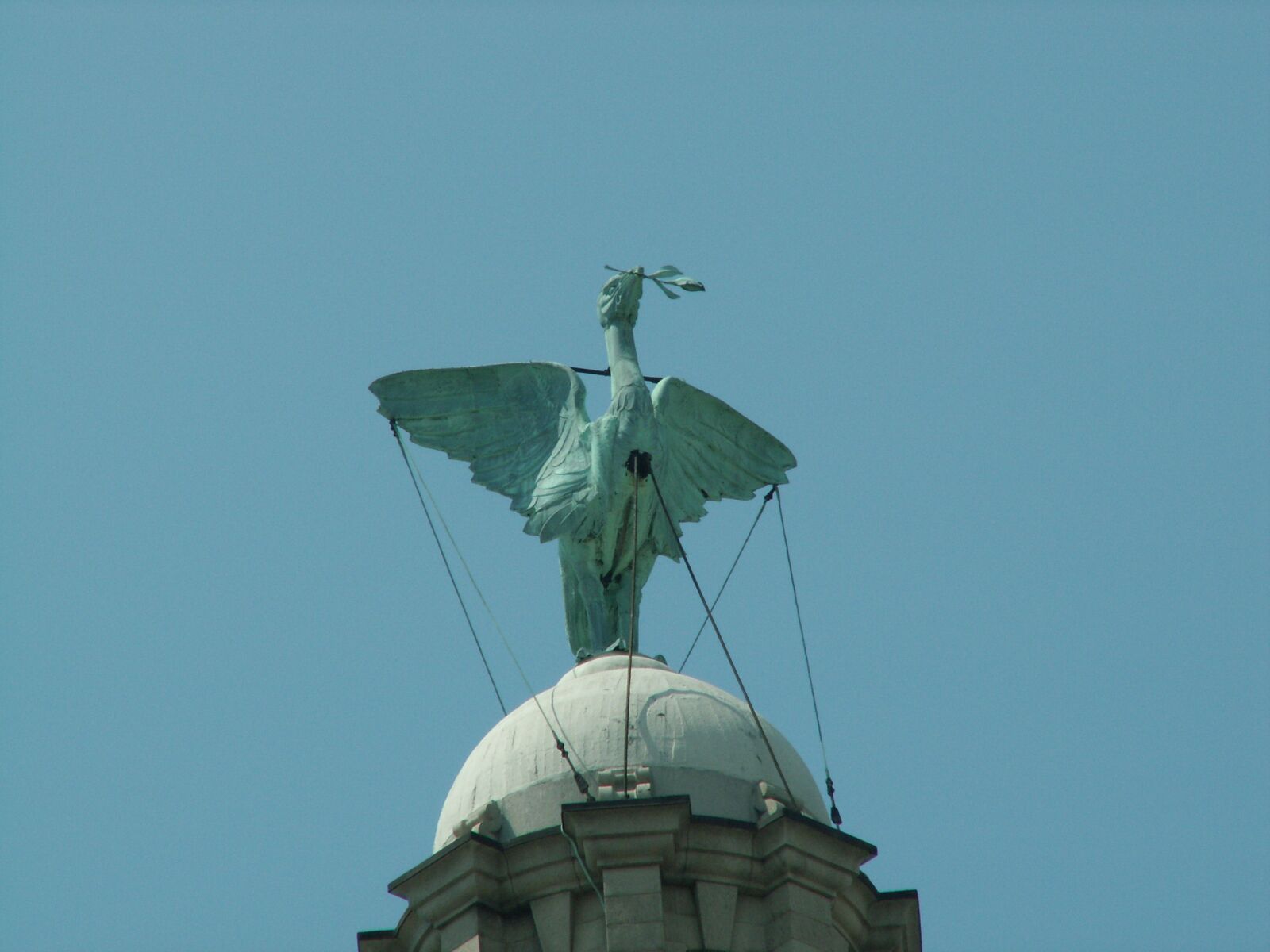 KONICA MINOLTA DiMAGE Z5 sample photo. Liverbird, liverpool, landmark photography