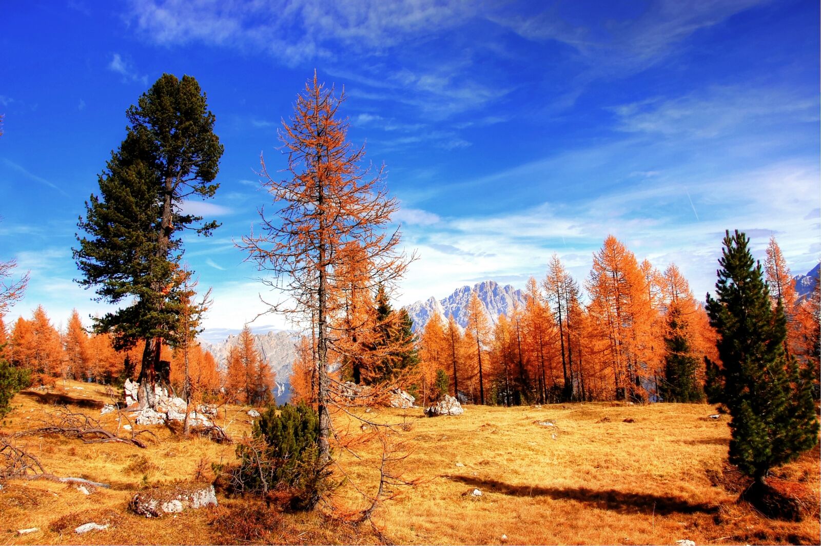 Nikon D40 sample photo. Dolomites, mountains, italy photography