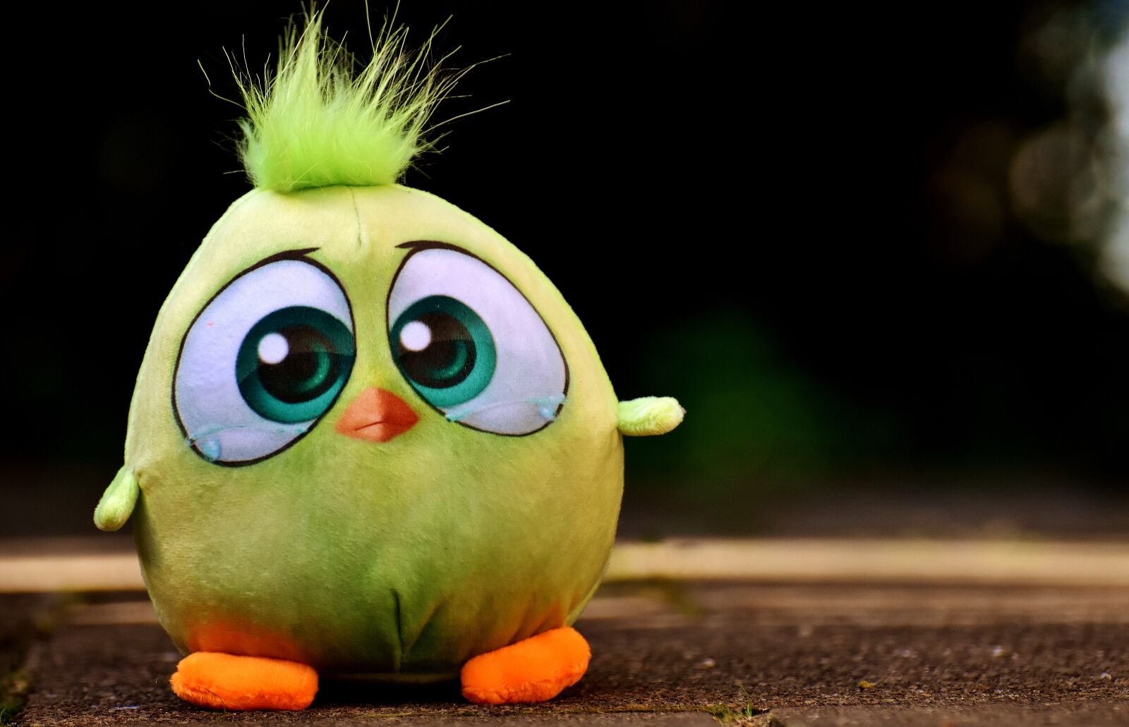 Nikon D7200 sample photo. Bird, soft toy, funny photography
