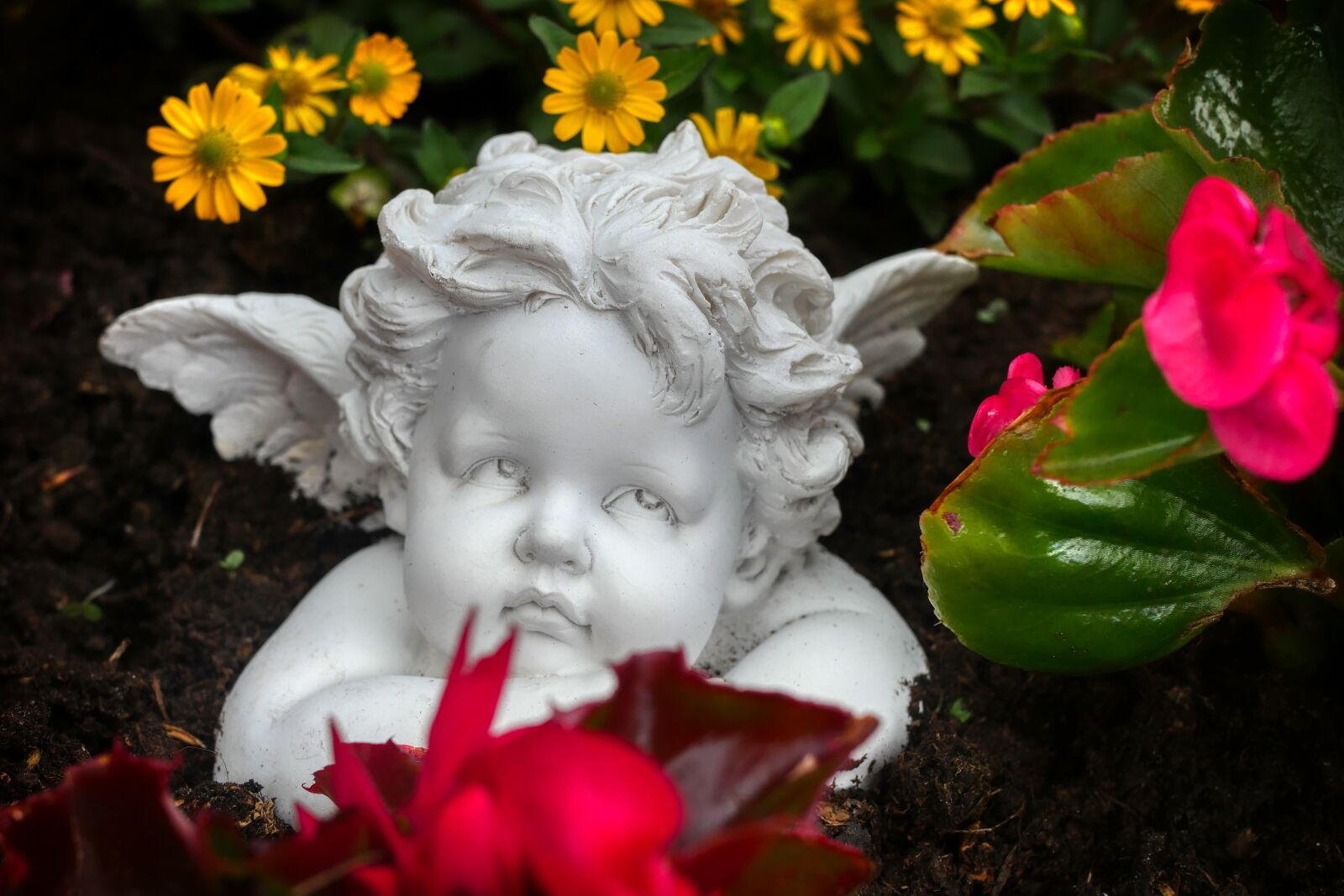 Panasonic Lumix DMC-GX8 sample photo. Angel, flowers, decoration photography