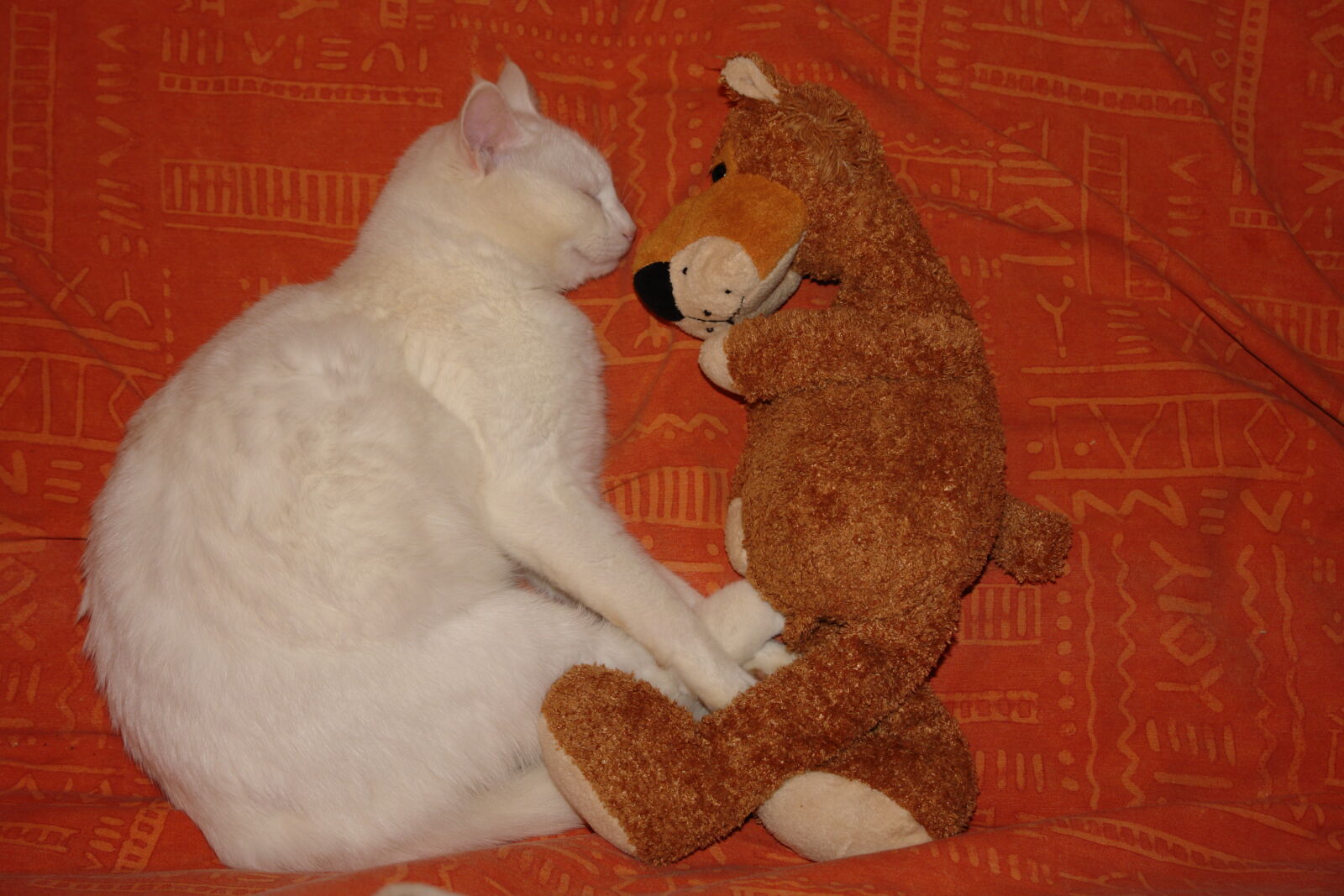 Sony DSC-R1 sample photo. Animals, cat, tiger photography