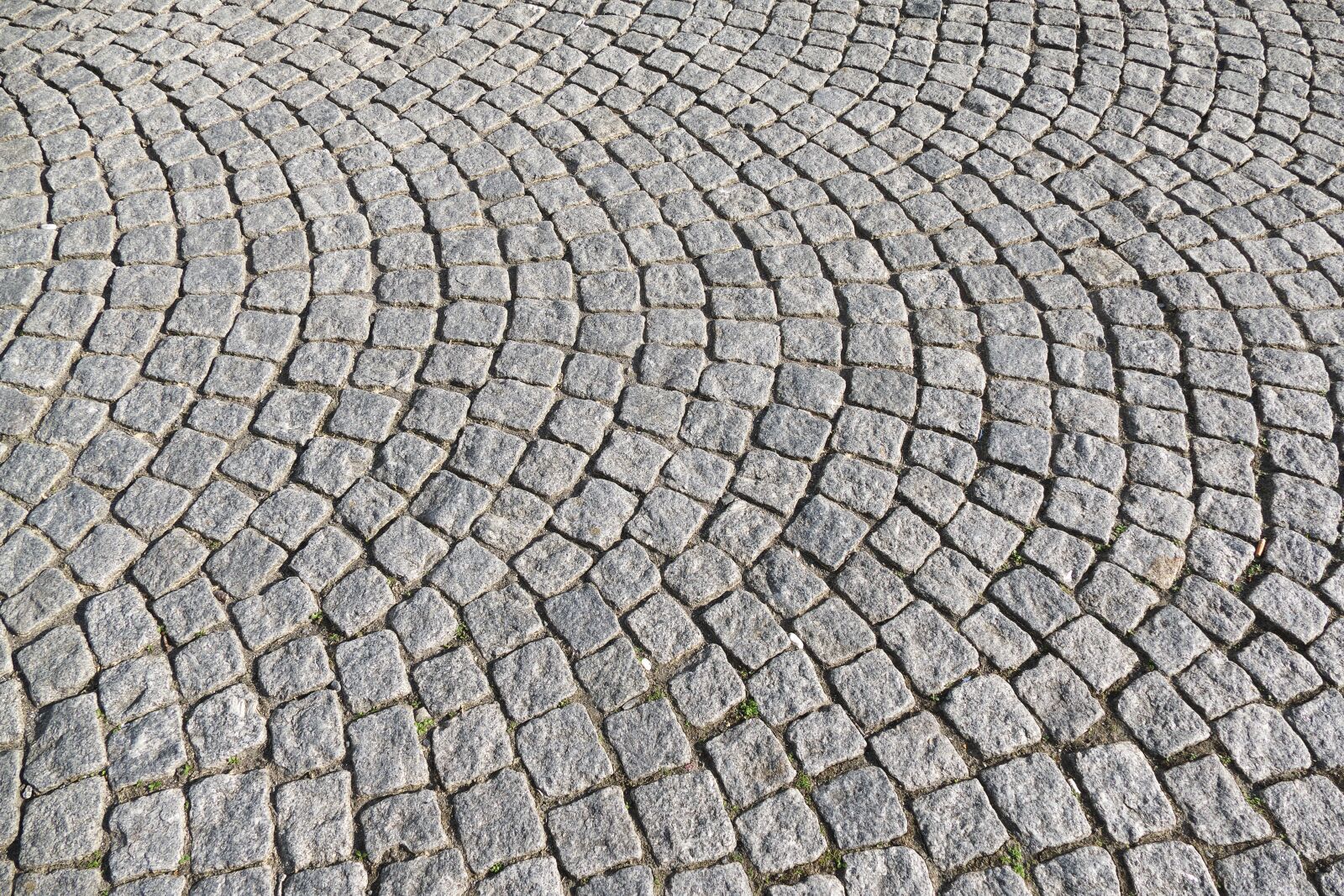 Panasonic Lumix DMC-FZ1000 sample photo. Cobblestones, paving stones, wavy photography