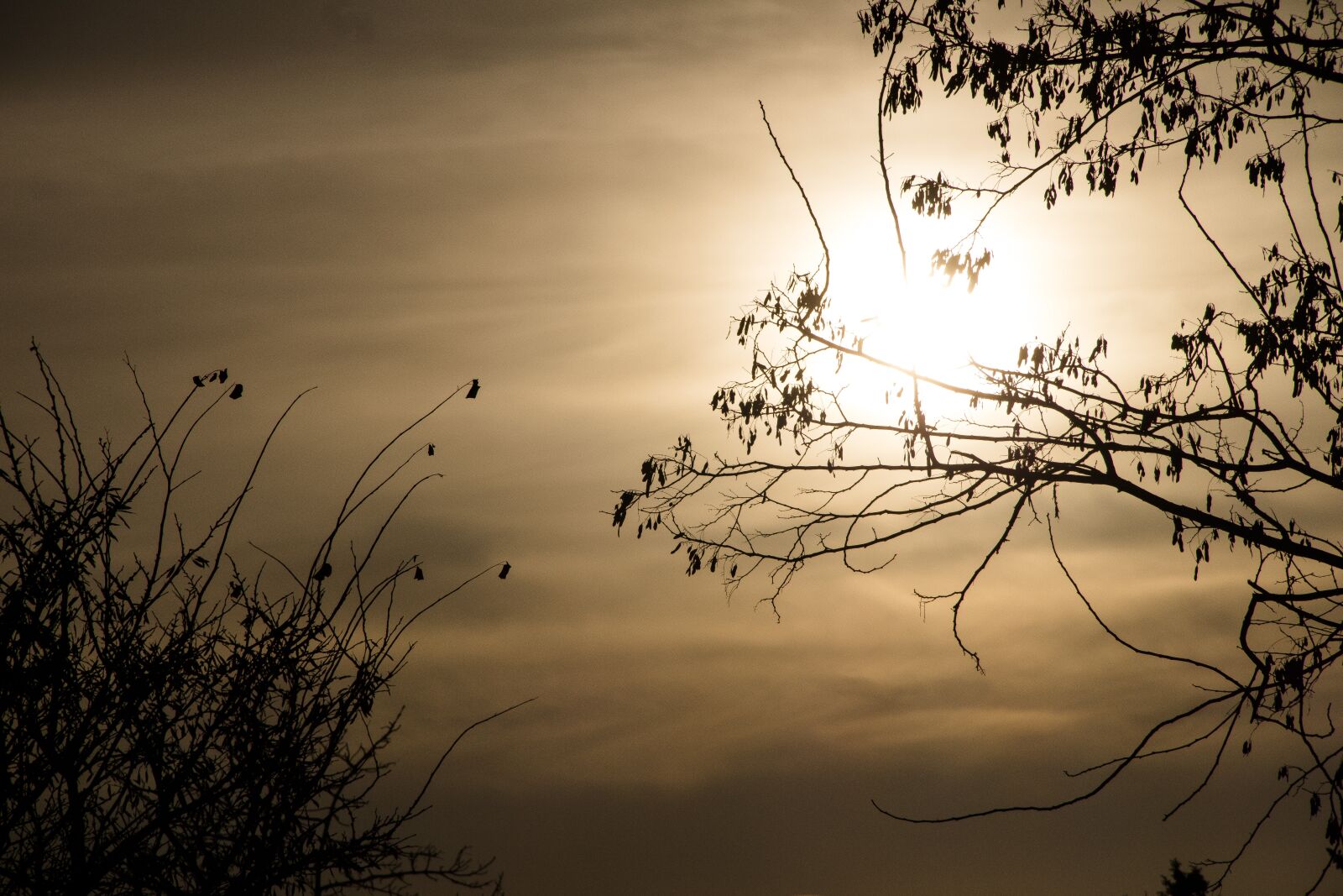 Canon EOS 650D (EOS Rebel T4i / EOS Kiss X6i) sample photo. Evening, sun, sky photography
