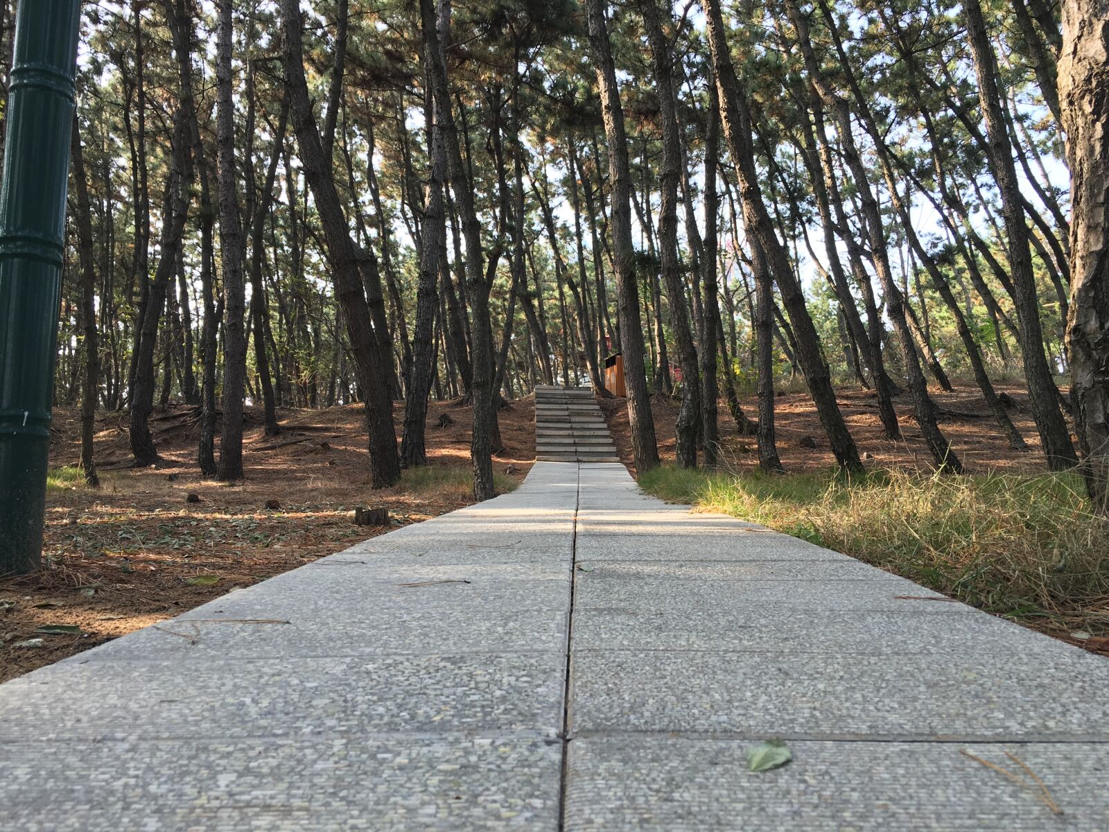 Apple iPhone 6s sample photo. Lane, the number of photography