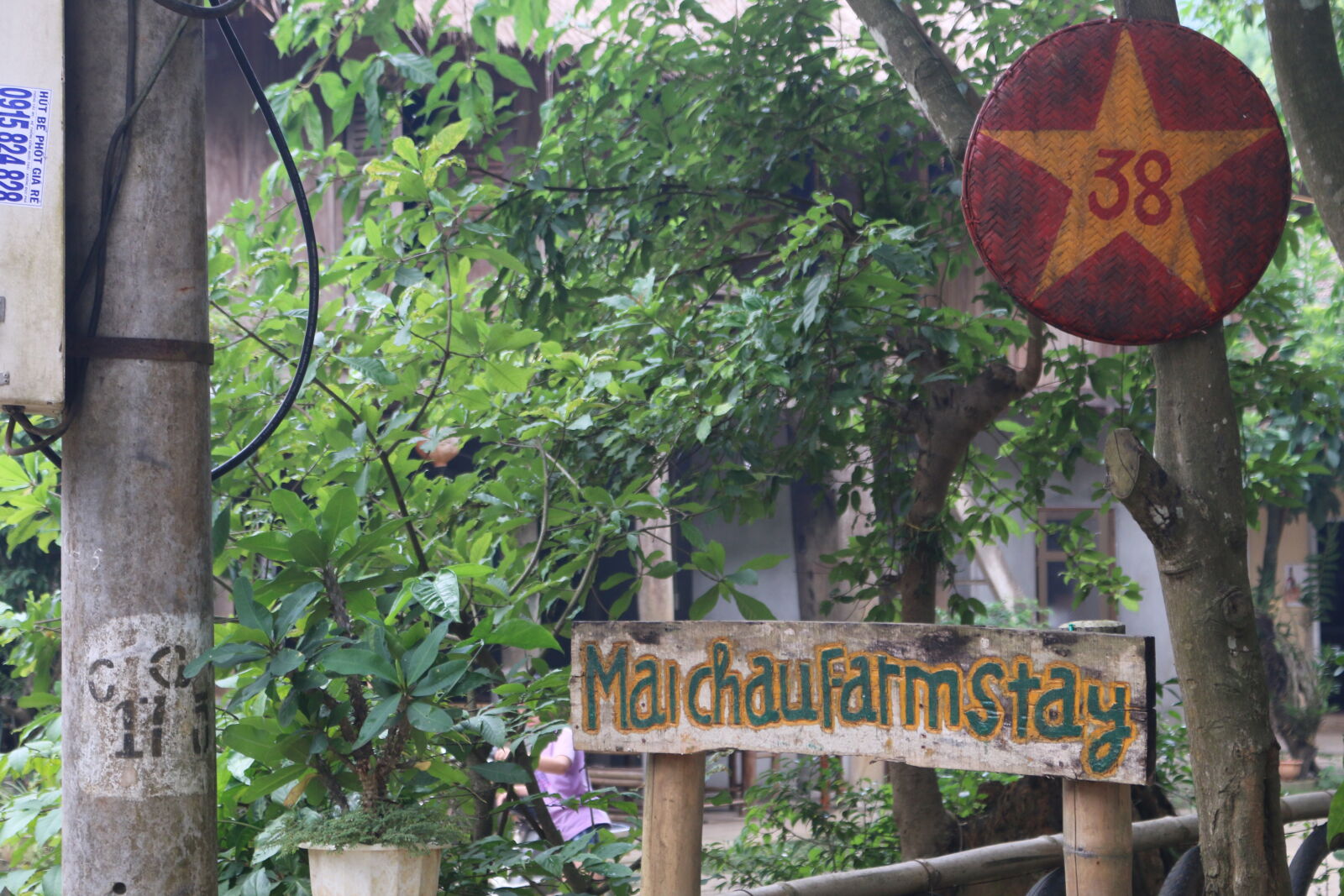 Canon EOS 70D sample photo