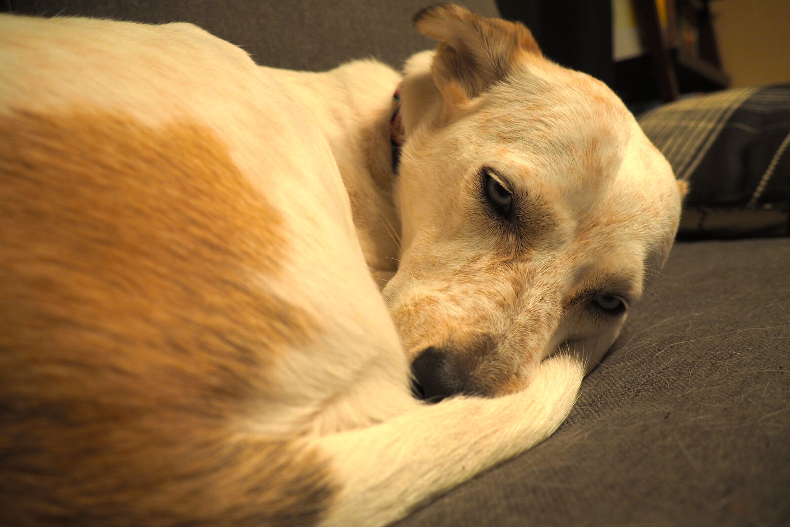 Olympus OM-D E-M10 sample photo