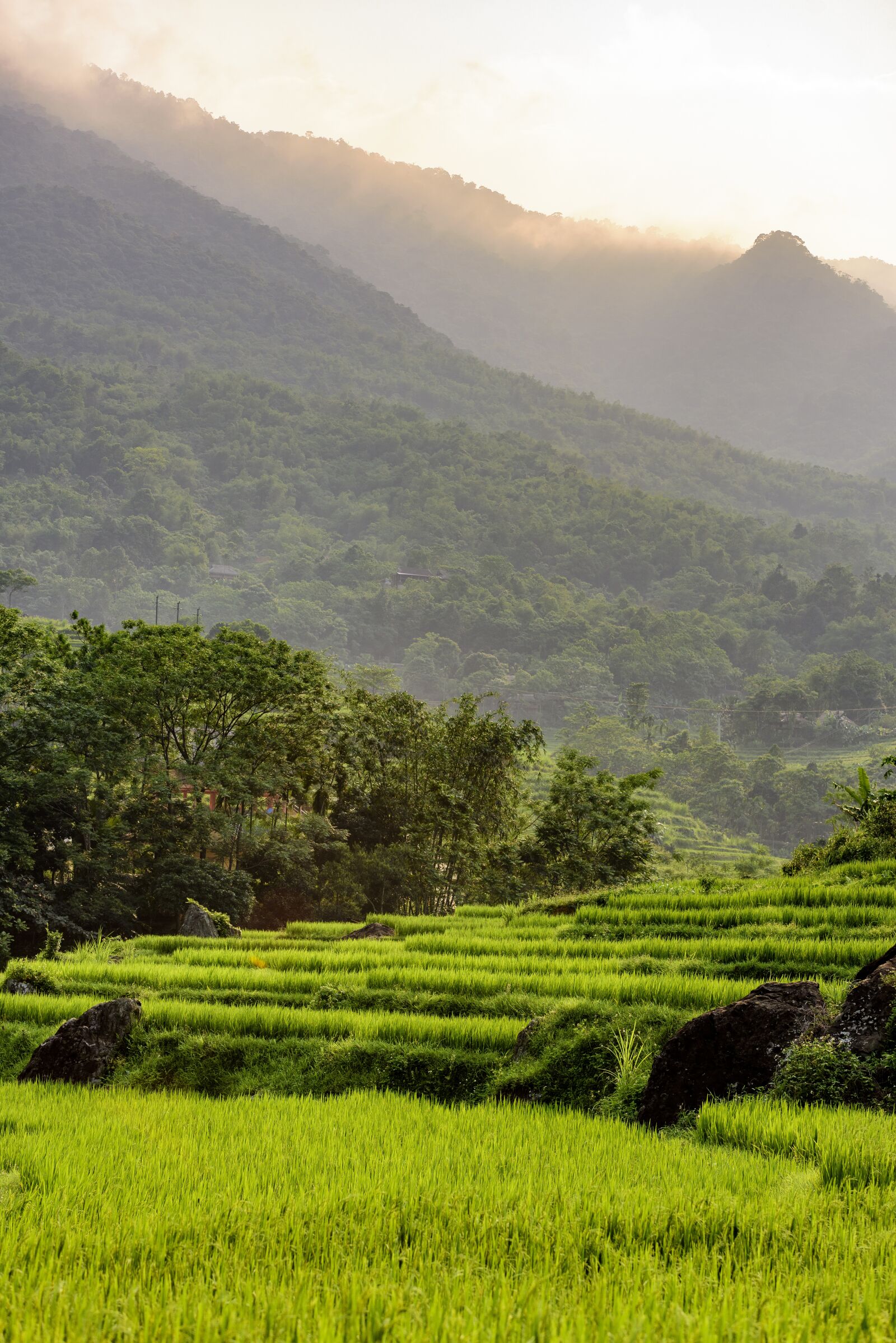 Nikon D810 sample photo. Pu luong nature reserve photography