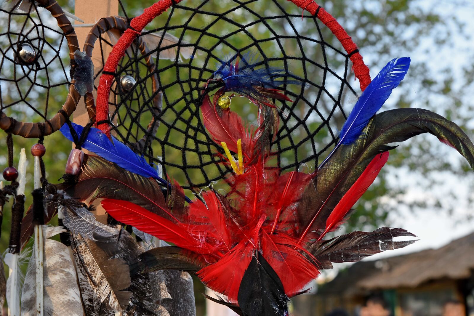 Nikon D5500 sample photo. Circle, creativity, dream, feather photography