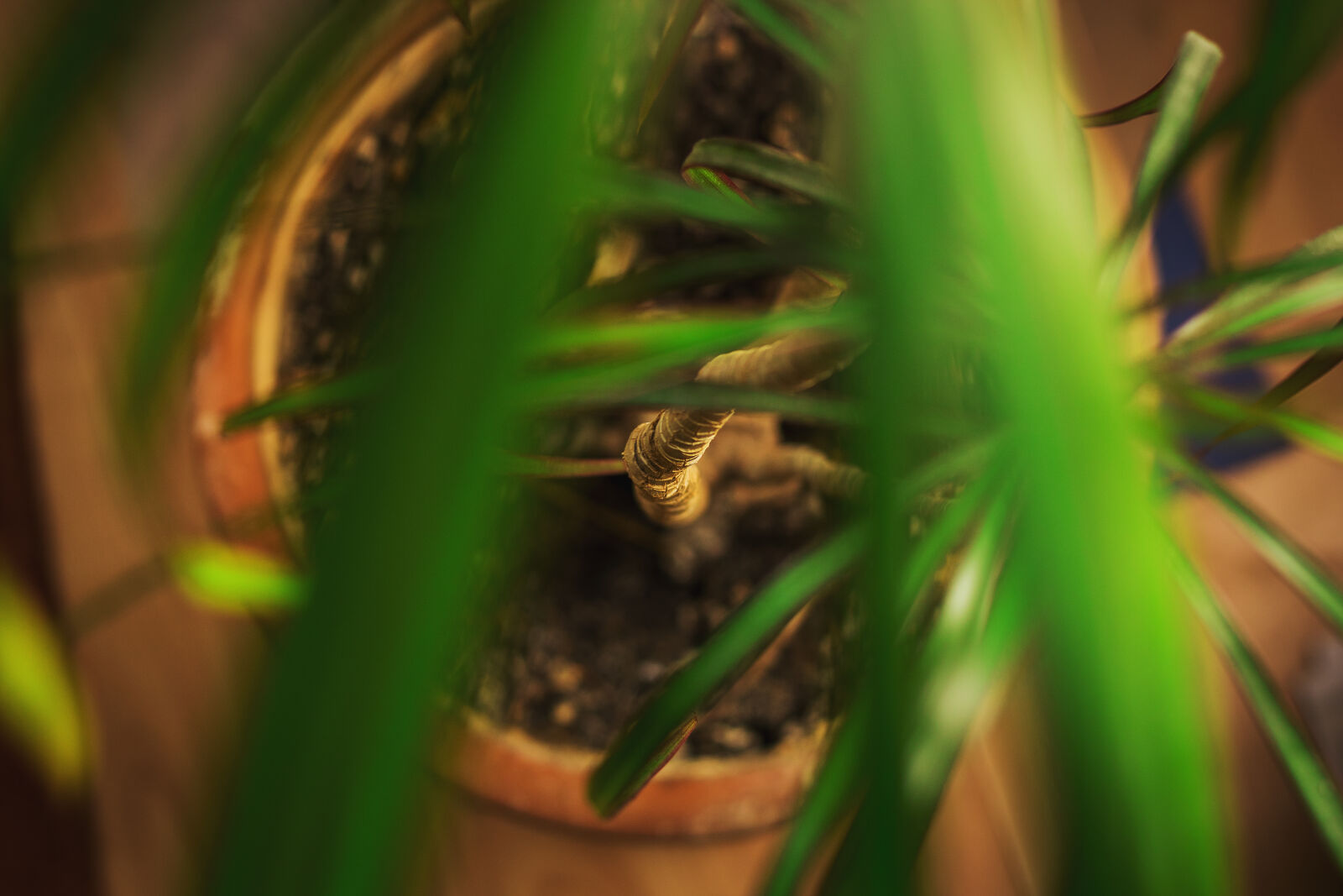 Canon EF 50mm F1.8 STM sample photo