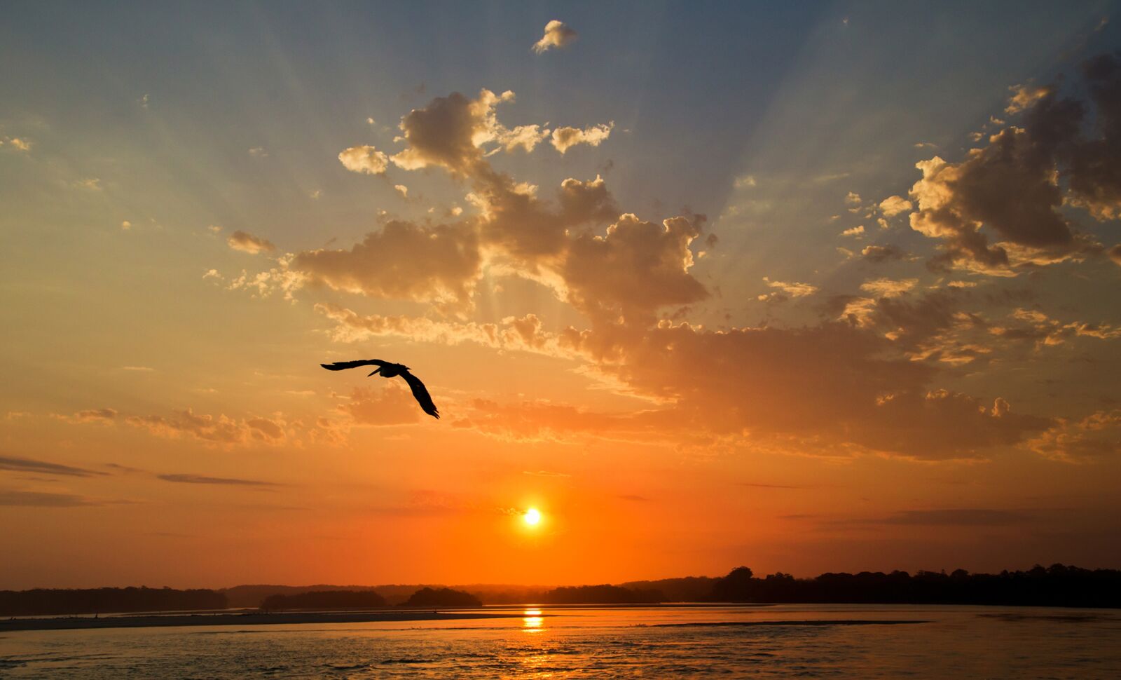 Canon EOS 6D sample photo. Sunset, bird, sky photography